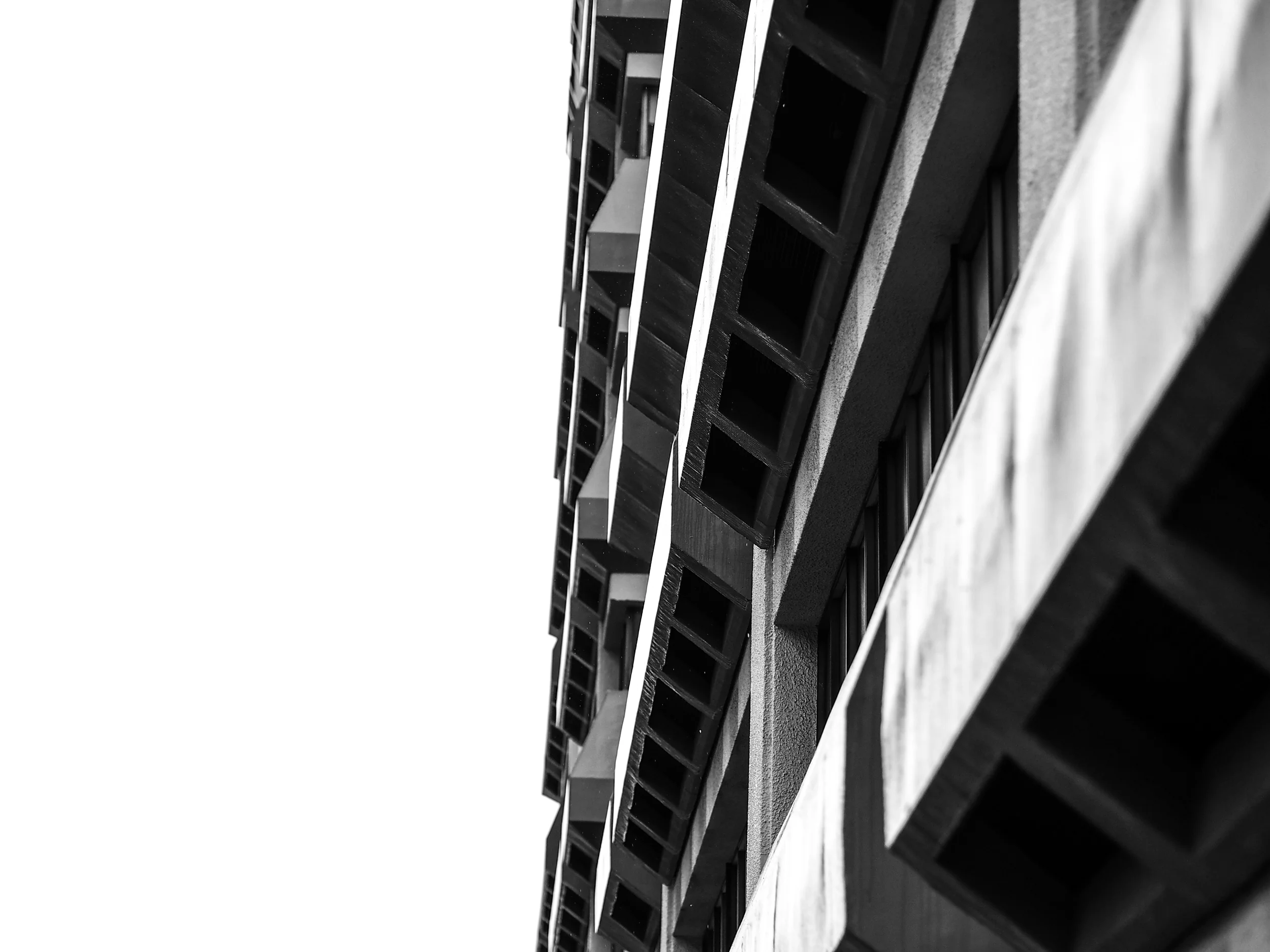 20111231-P1010153.jpg