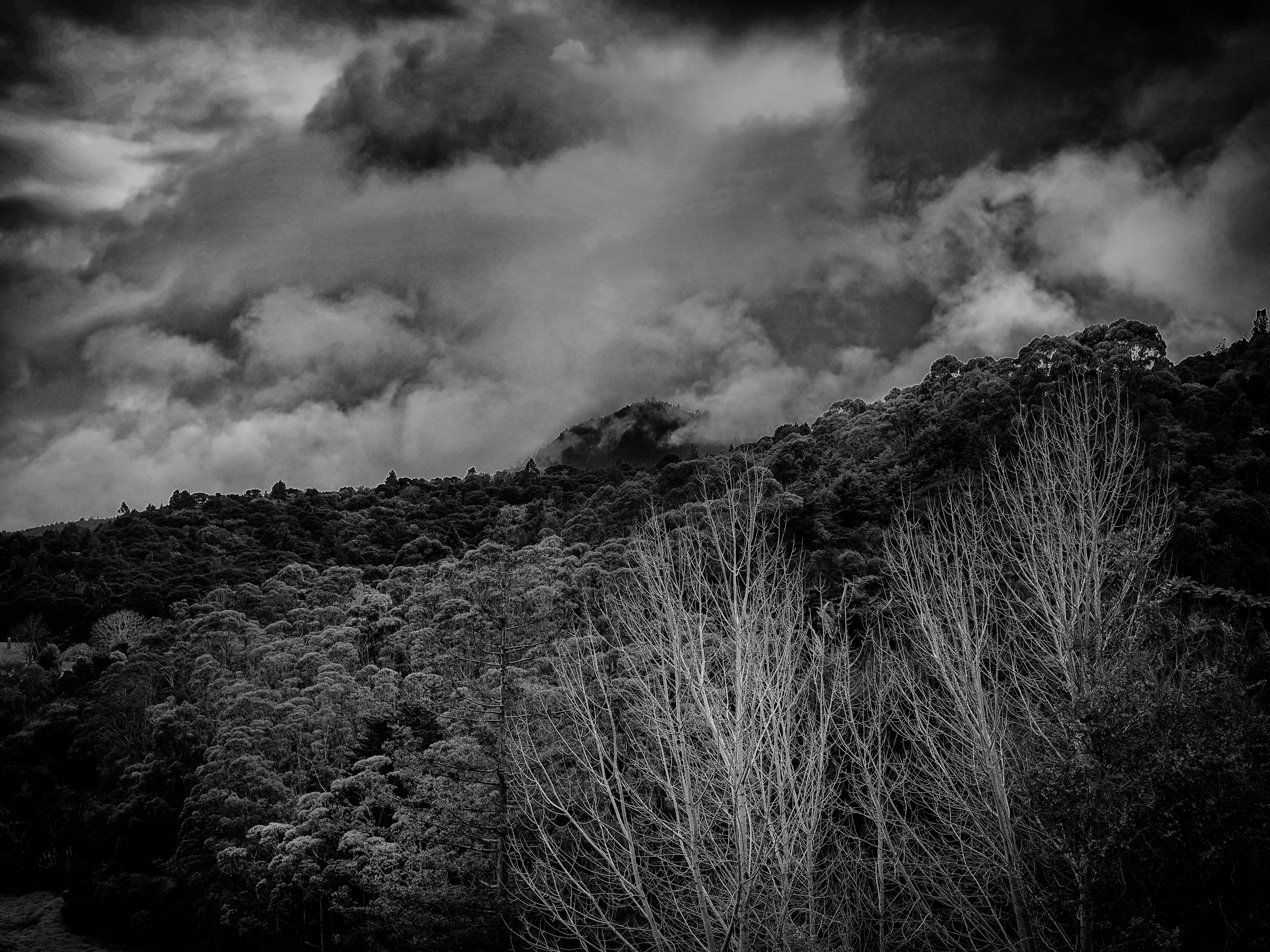 20130903-P1010522-Edit-Edit.jpg