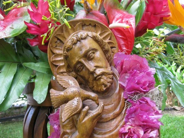 St. Francis Statue