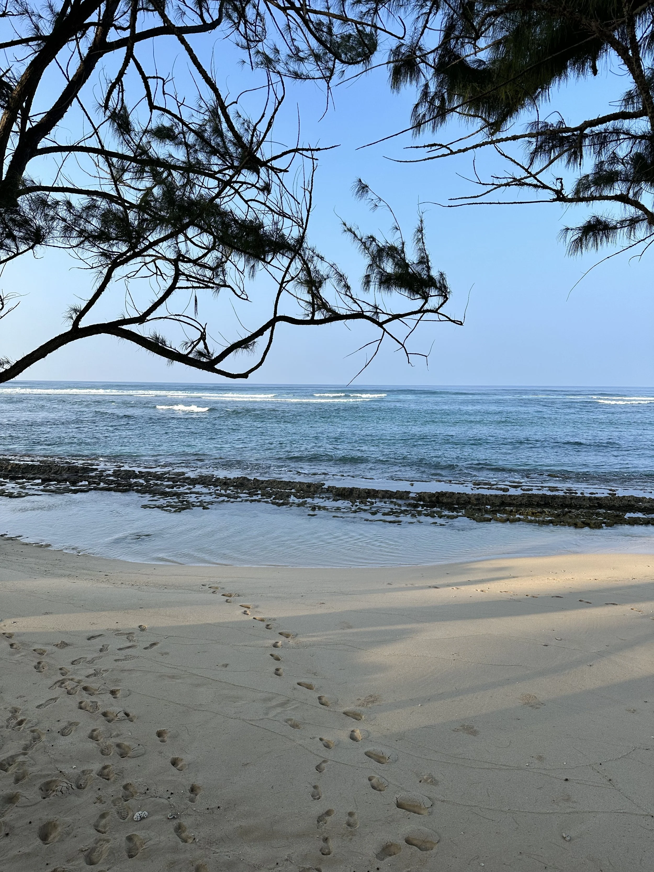 From the Rector: Pilgrimages and Retreats