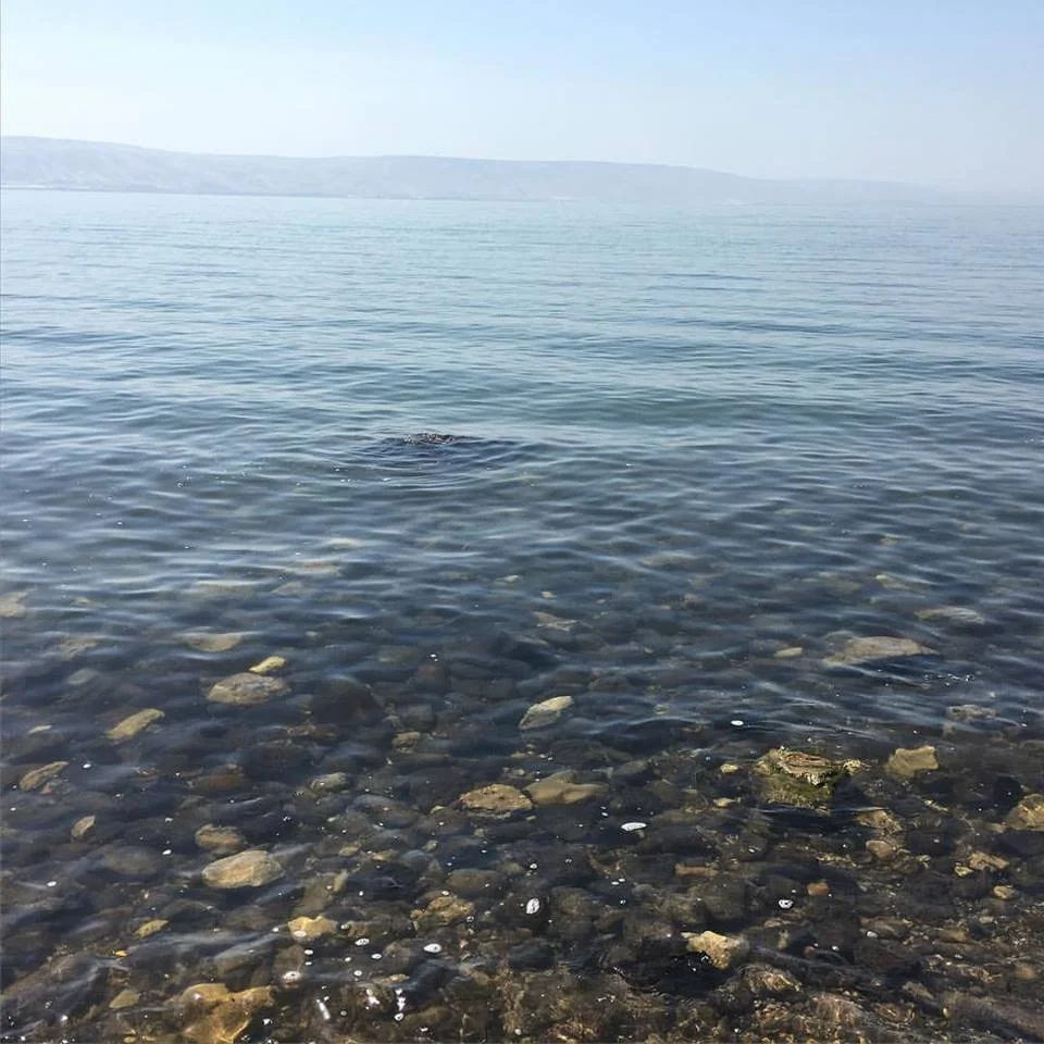 From the Rector: Fishing for People