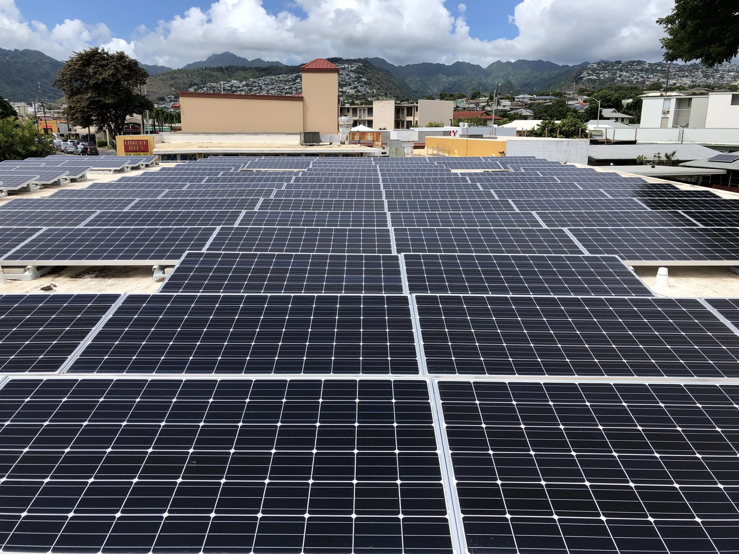 From the Rector: Ecology and Stewardship