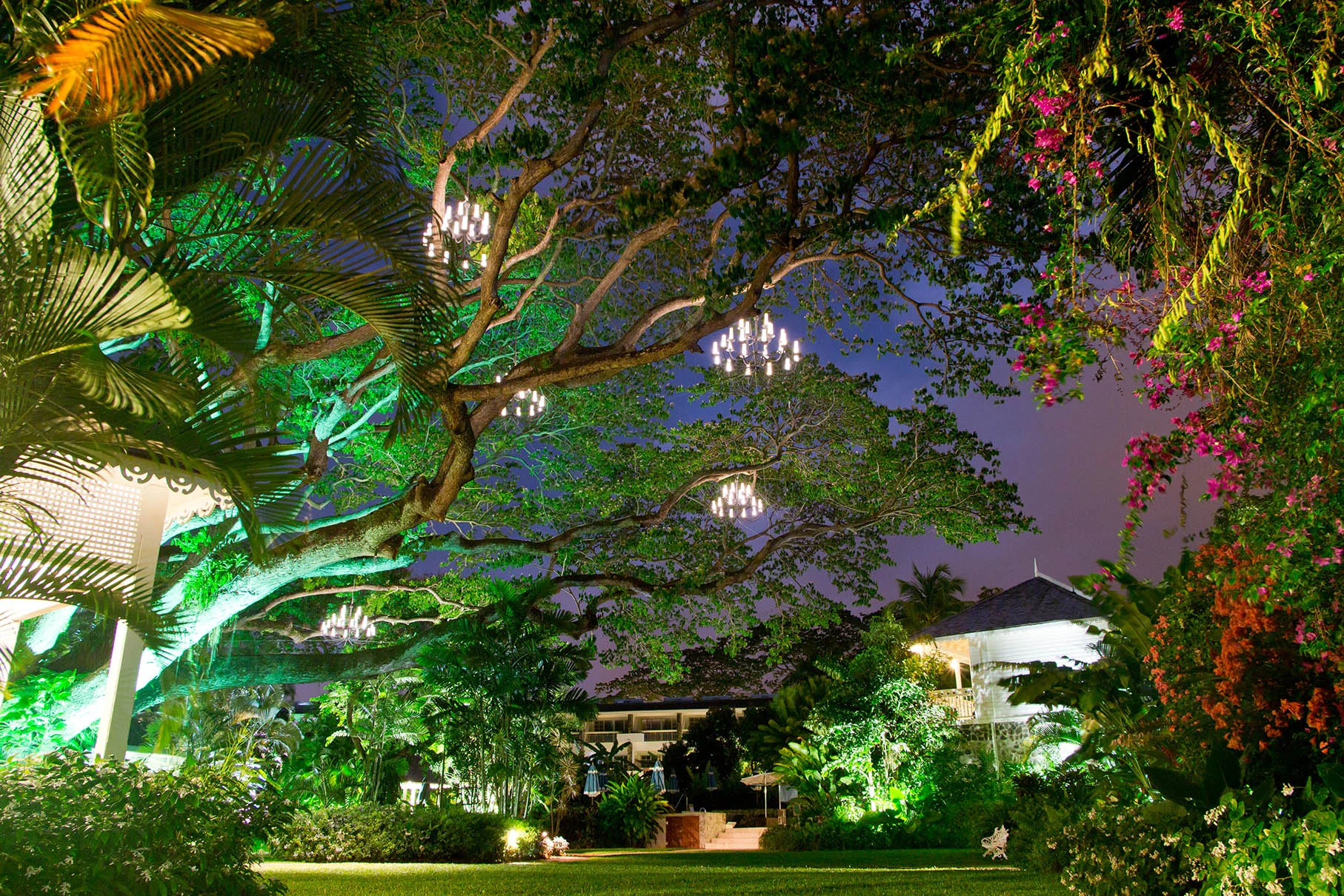 Chandelier Garden.jpg