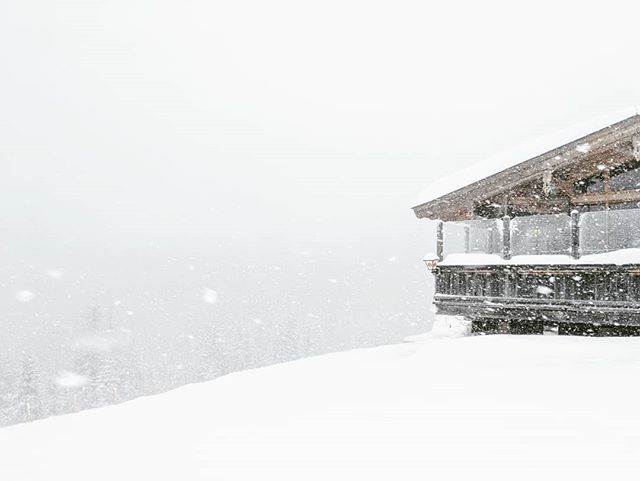 Winter
.
.
.
______________
#ellmau #snow #whitechristmas #mountainlife #skiing #onpiste #white