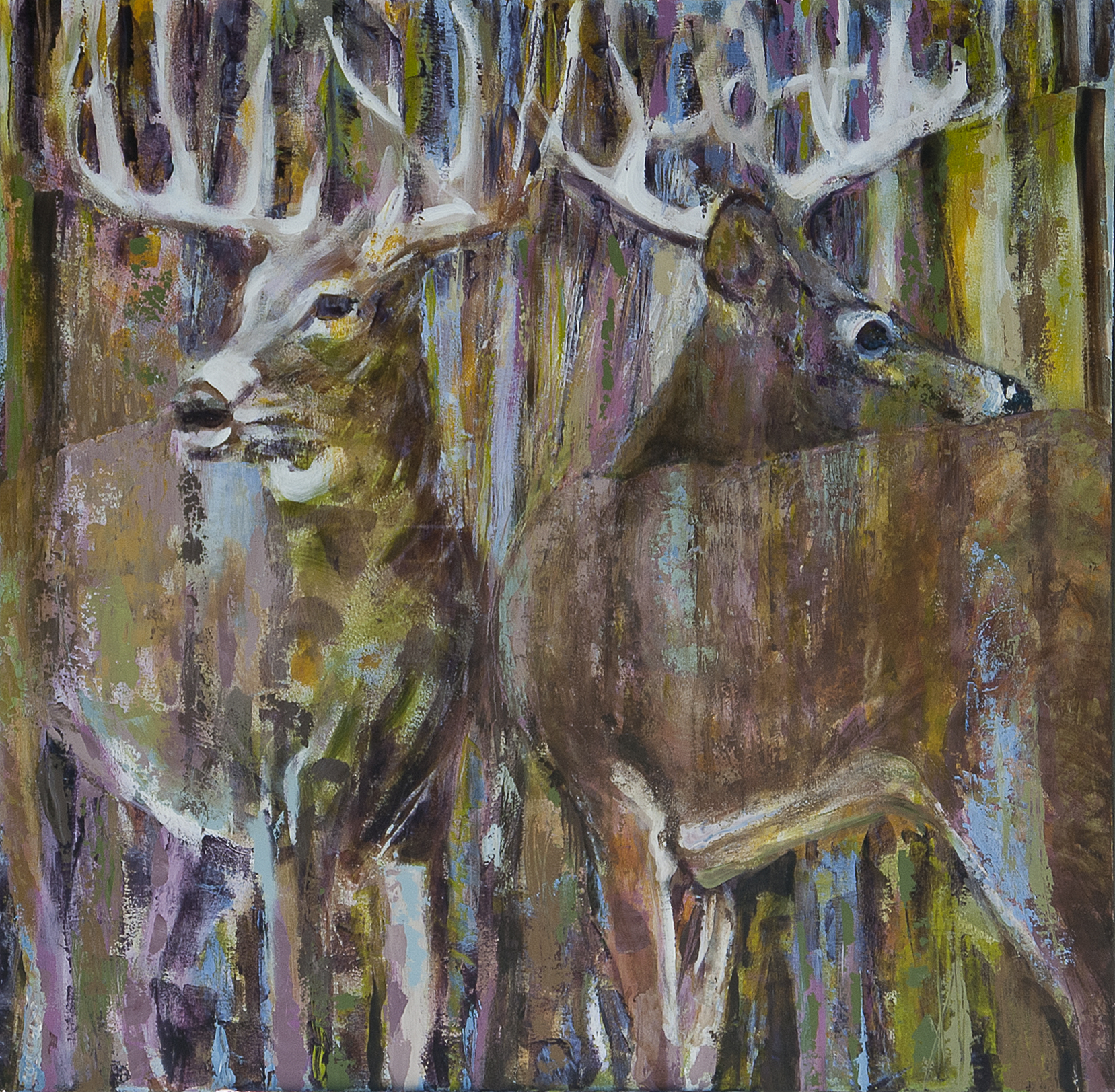 Two Deer