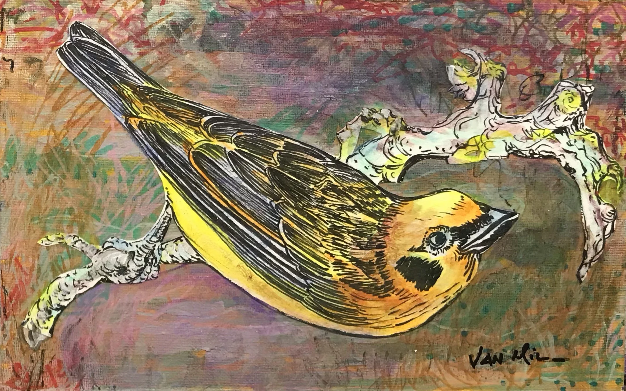 Finch