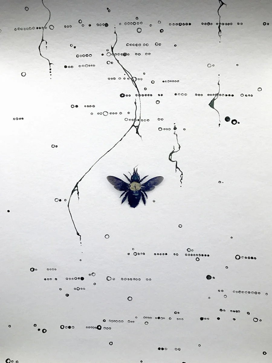 cronin_t_02.jpg