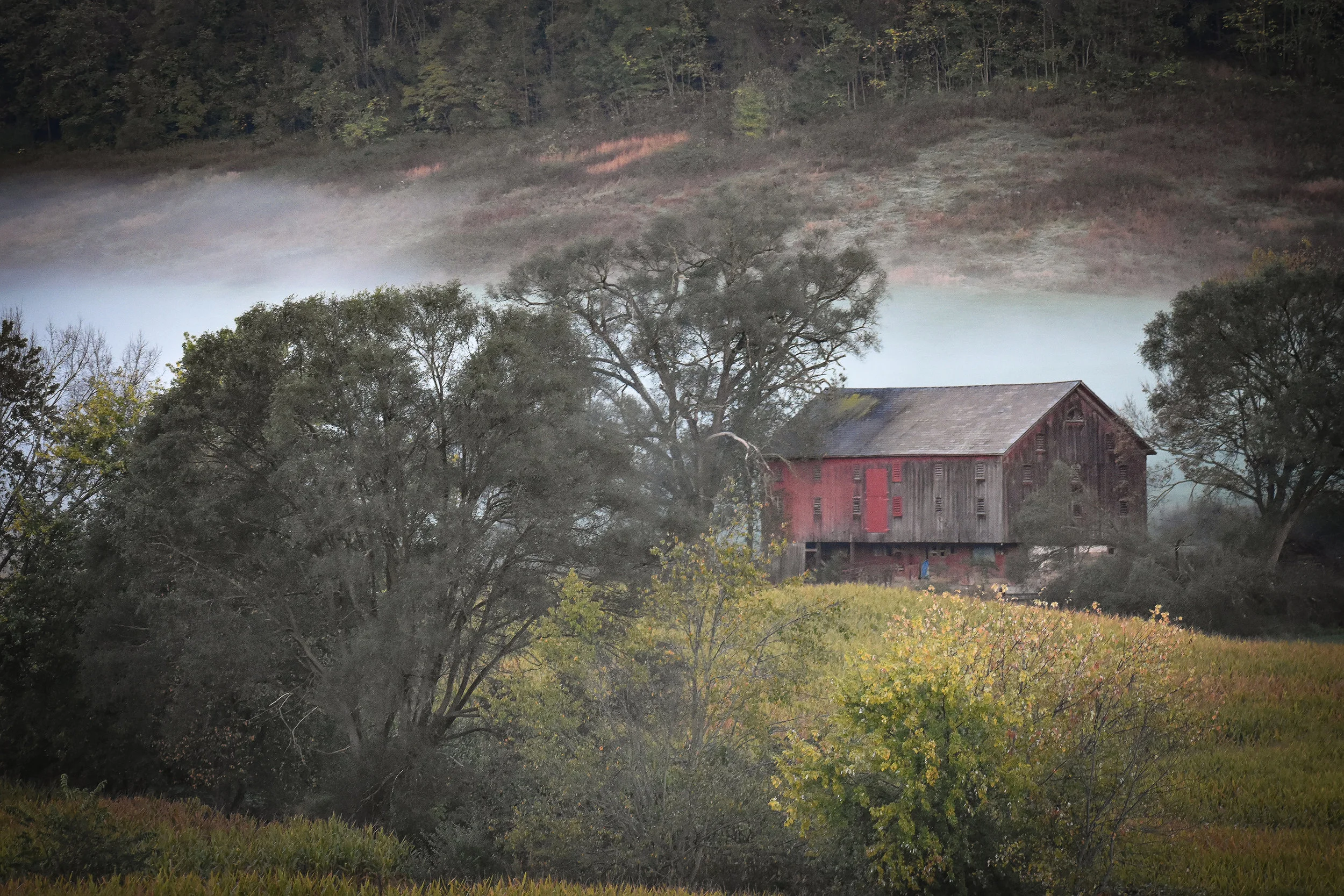 foggybarn.jpg