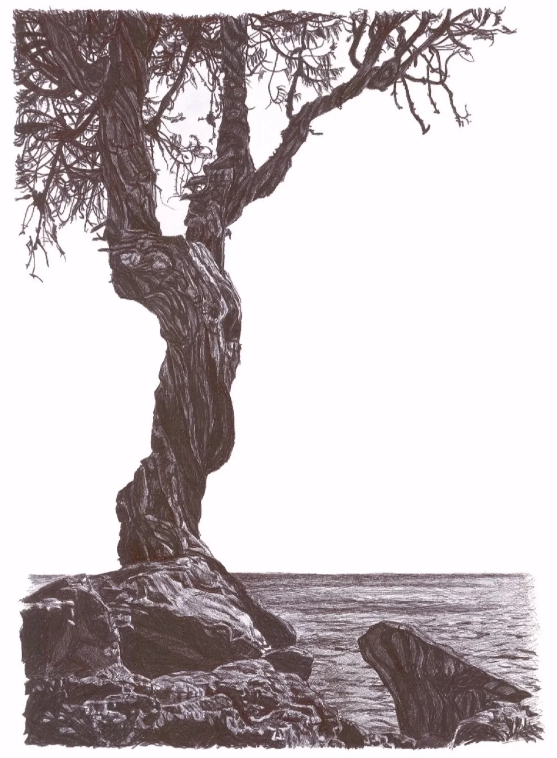 Obrien_Spirit_Tree_Card%252B%2525281%252529.jpg