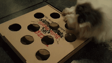 FW9Fvg4.gif