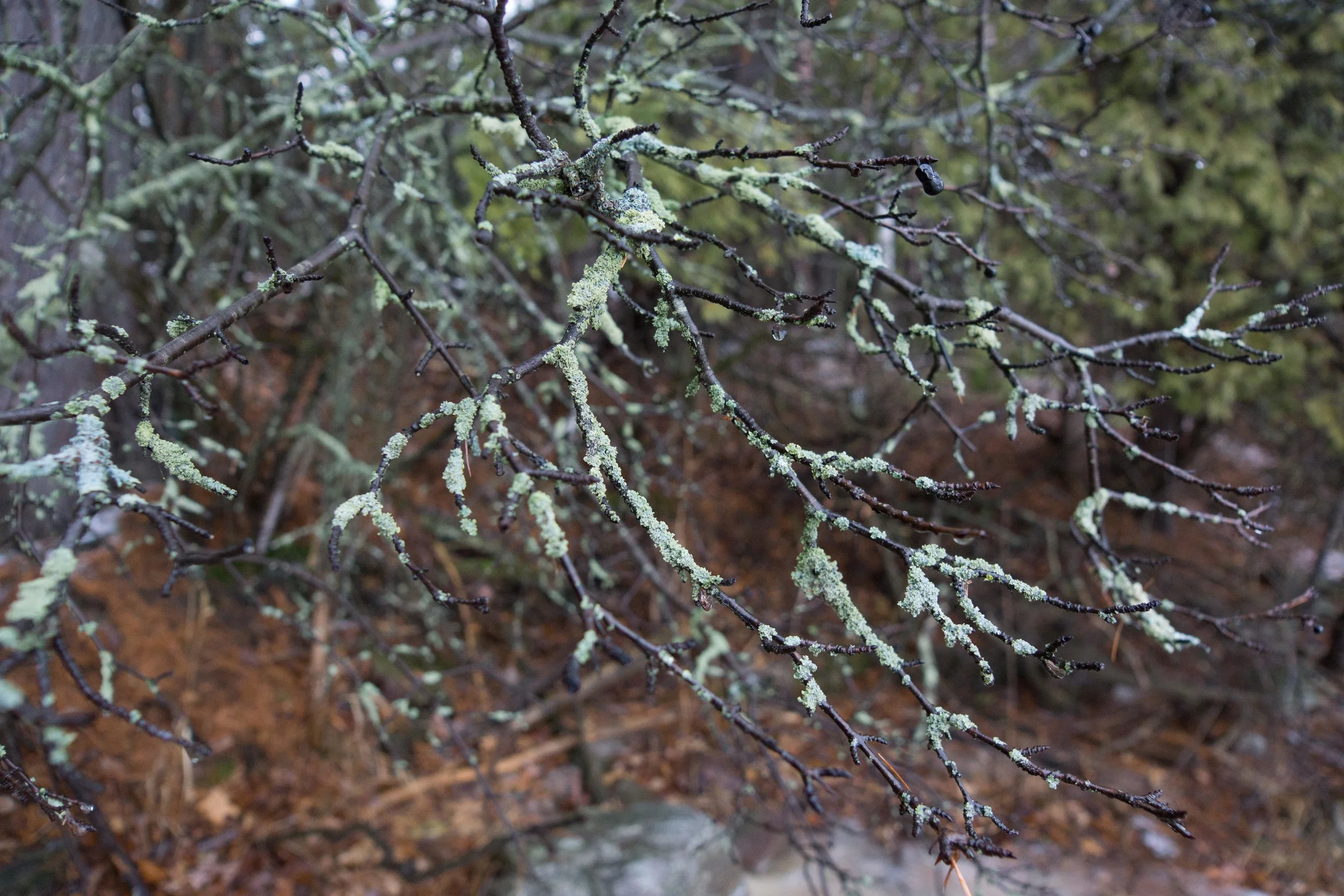 DSC04888.jpg