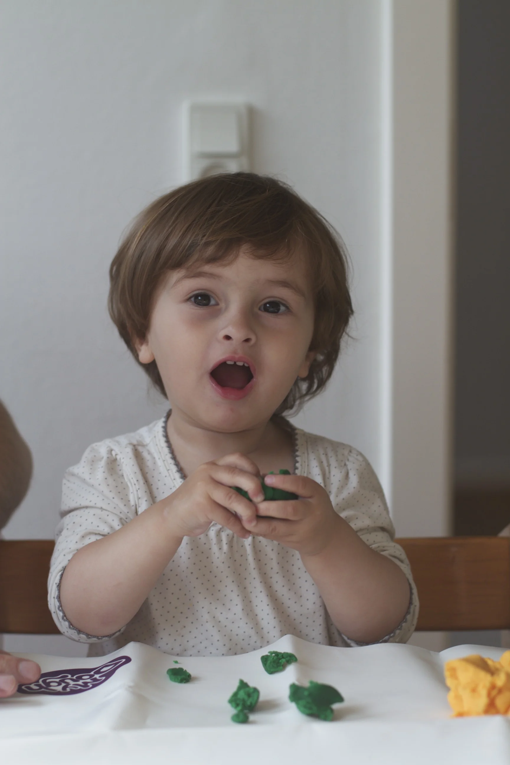 skd pic 2012_07_01 IMG_1782.CR2.jpg