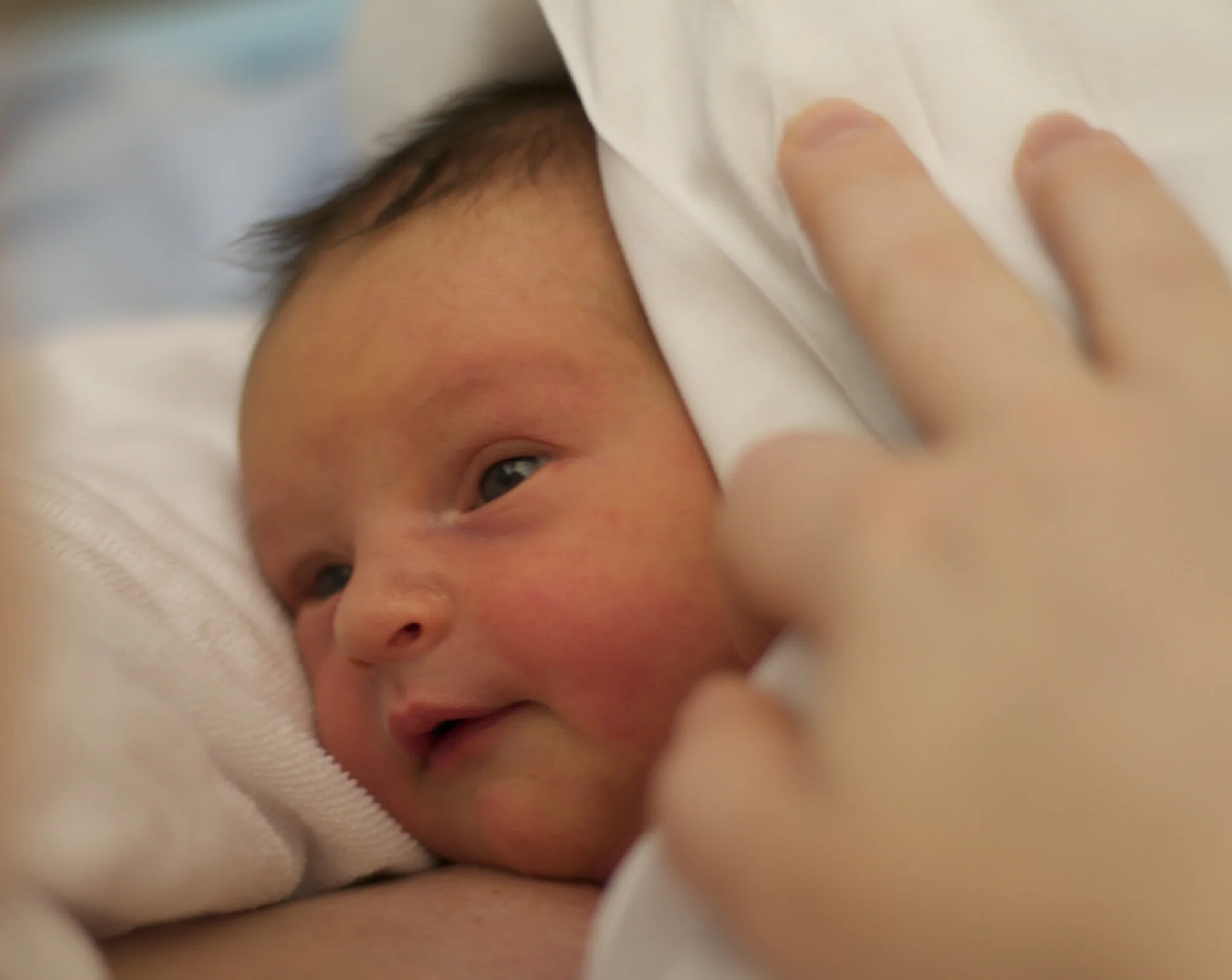 skd anna fav 2010_02_18 IMG_1096.CR2.jpg