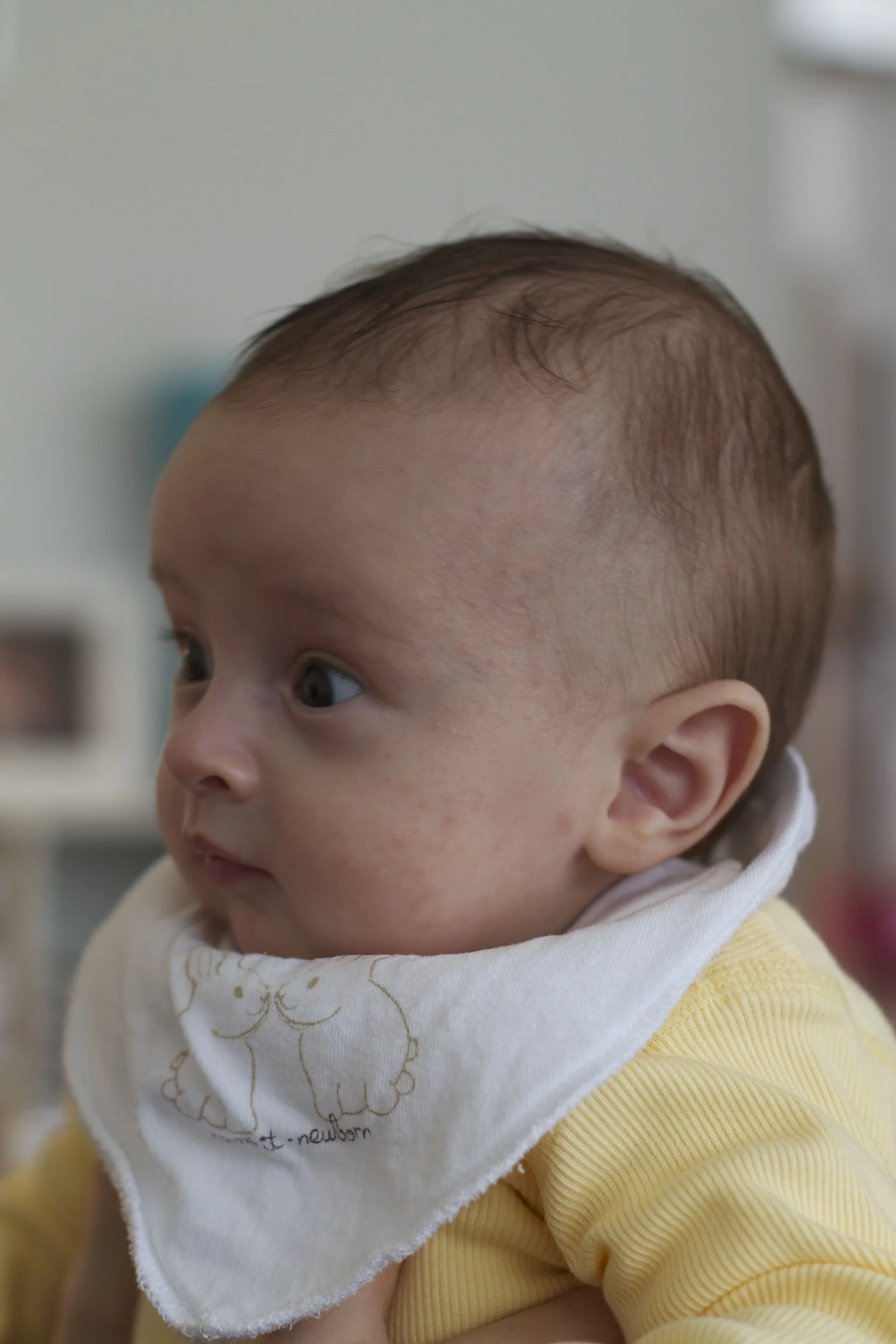 skd anna fav 2010_05_16 IMG_3295.CR2.jpg