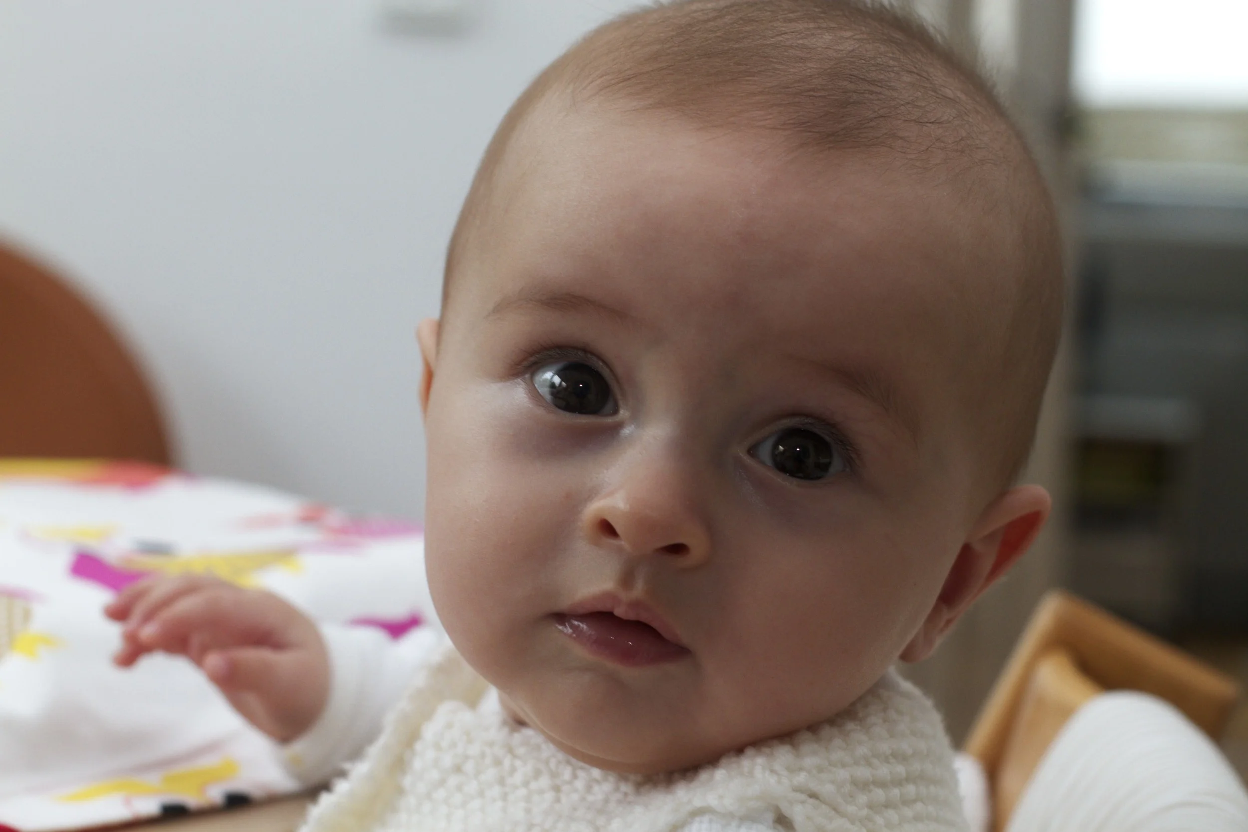 skd anna fav 2010_08_11 IMG_7953.CR2.jpg