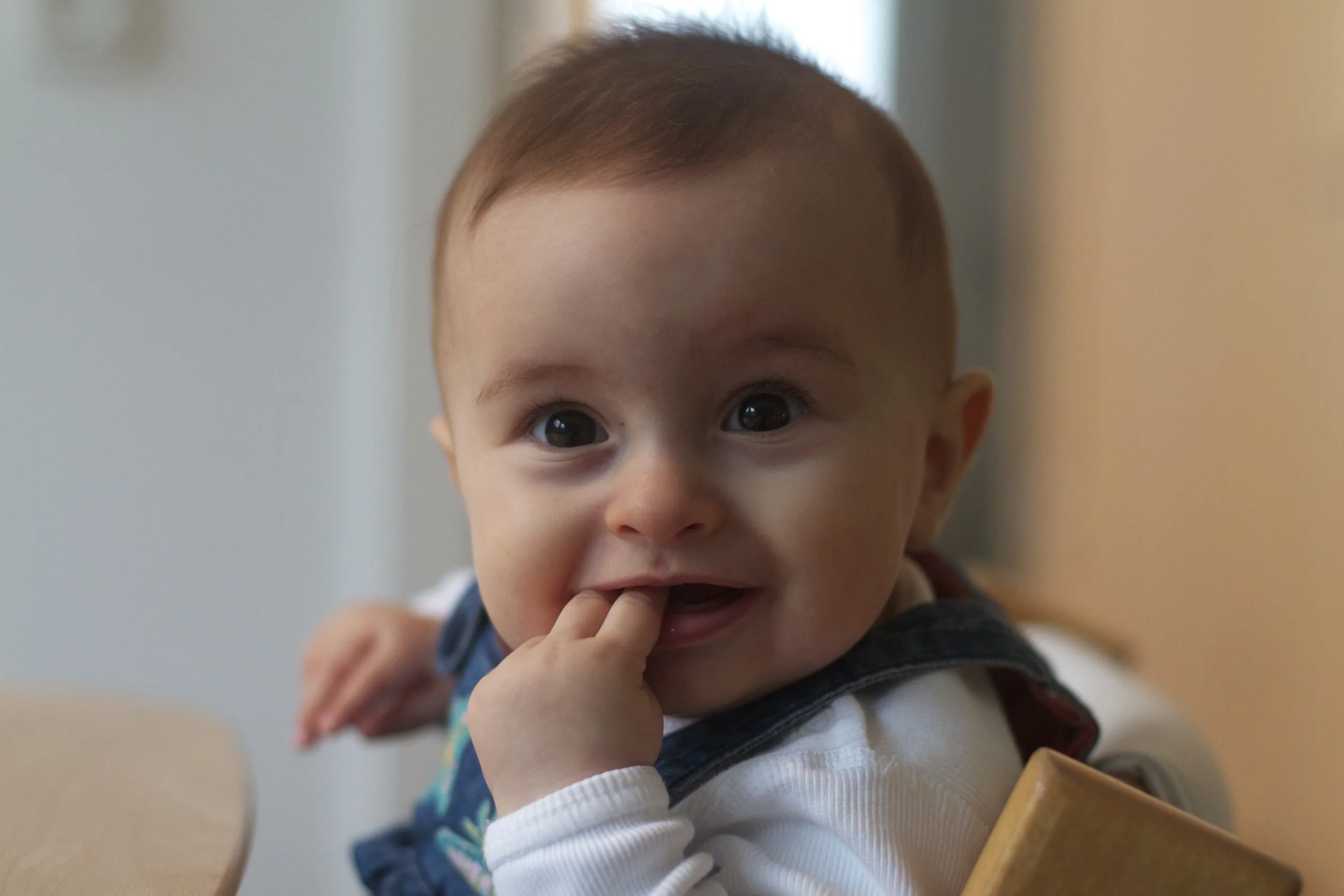 skd anna fav 2010_09_25 IMG_9389.CR2.jpg