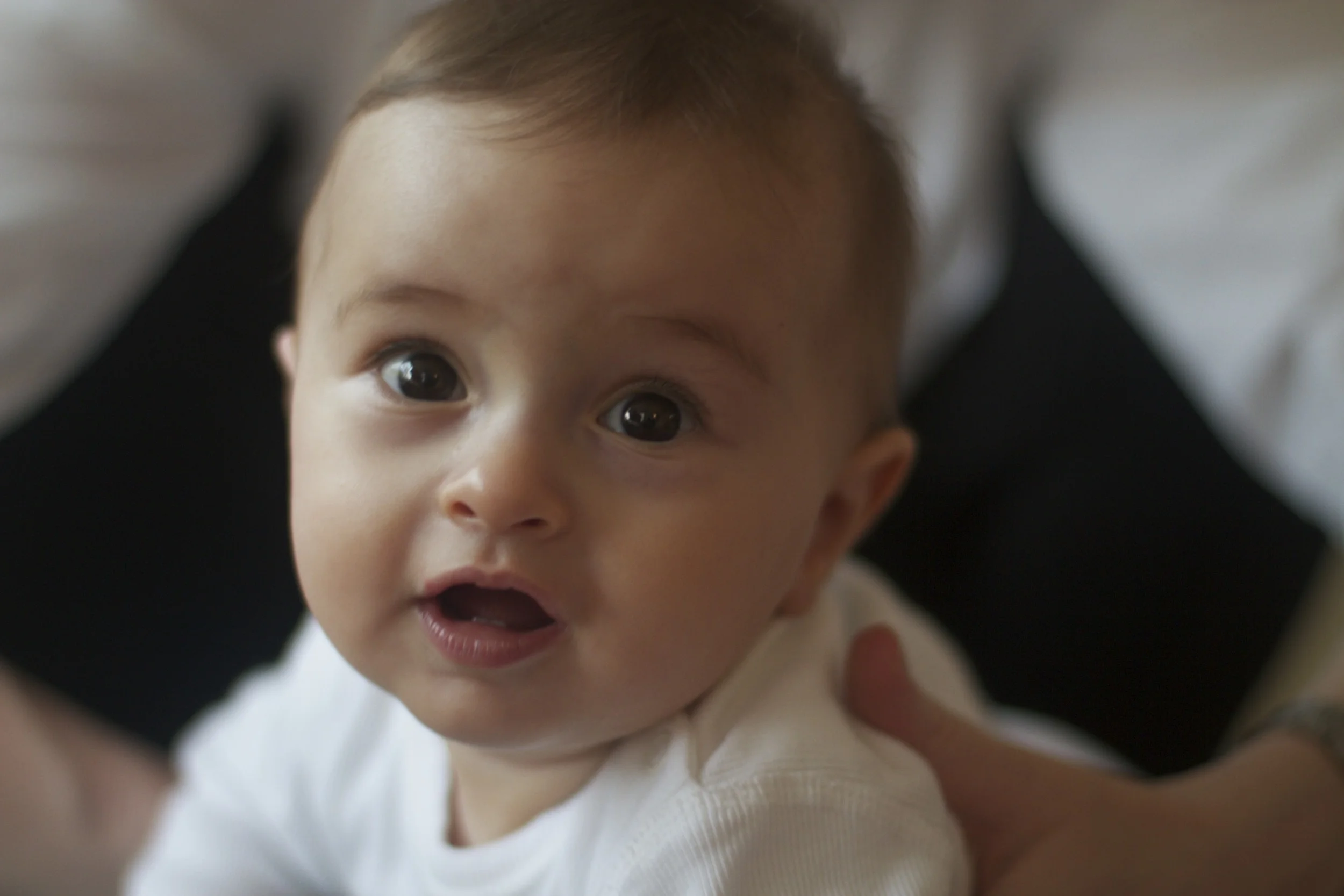 skd anna fav 2010_10_30 IMG_9897.CR2.jpg