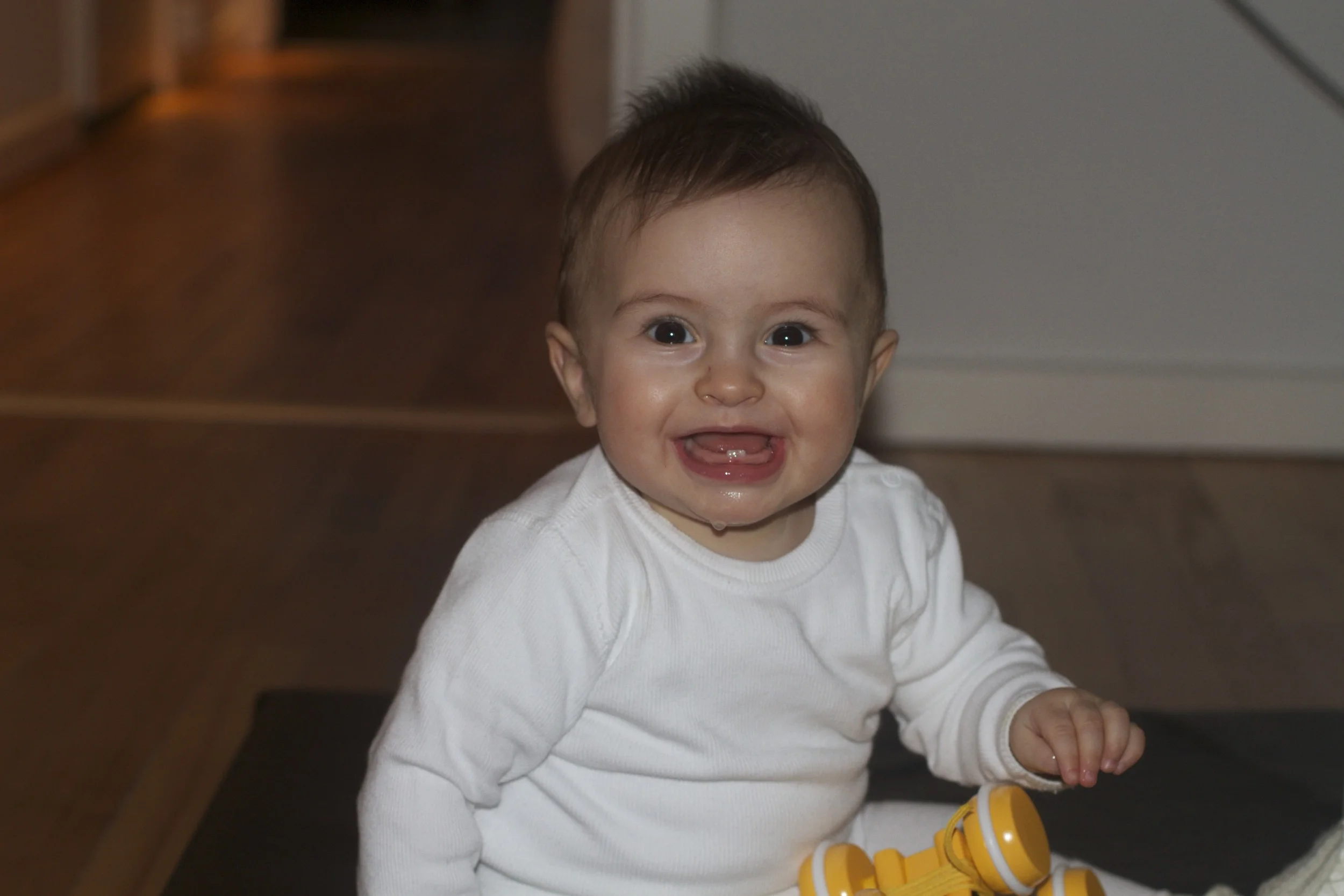 skd anna fav 2010_11_13 IMG_0423.CR2.jpg