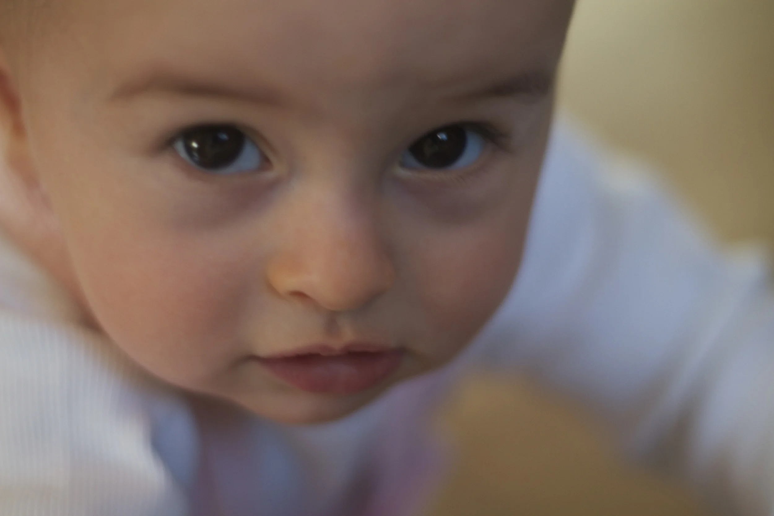 skd anna fav 2010_11_15 IMG_0437.CR2.jpg