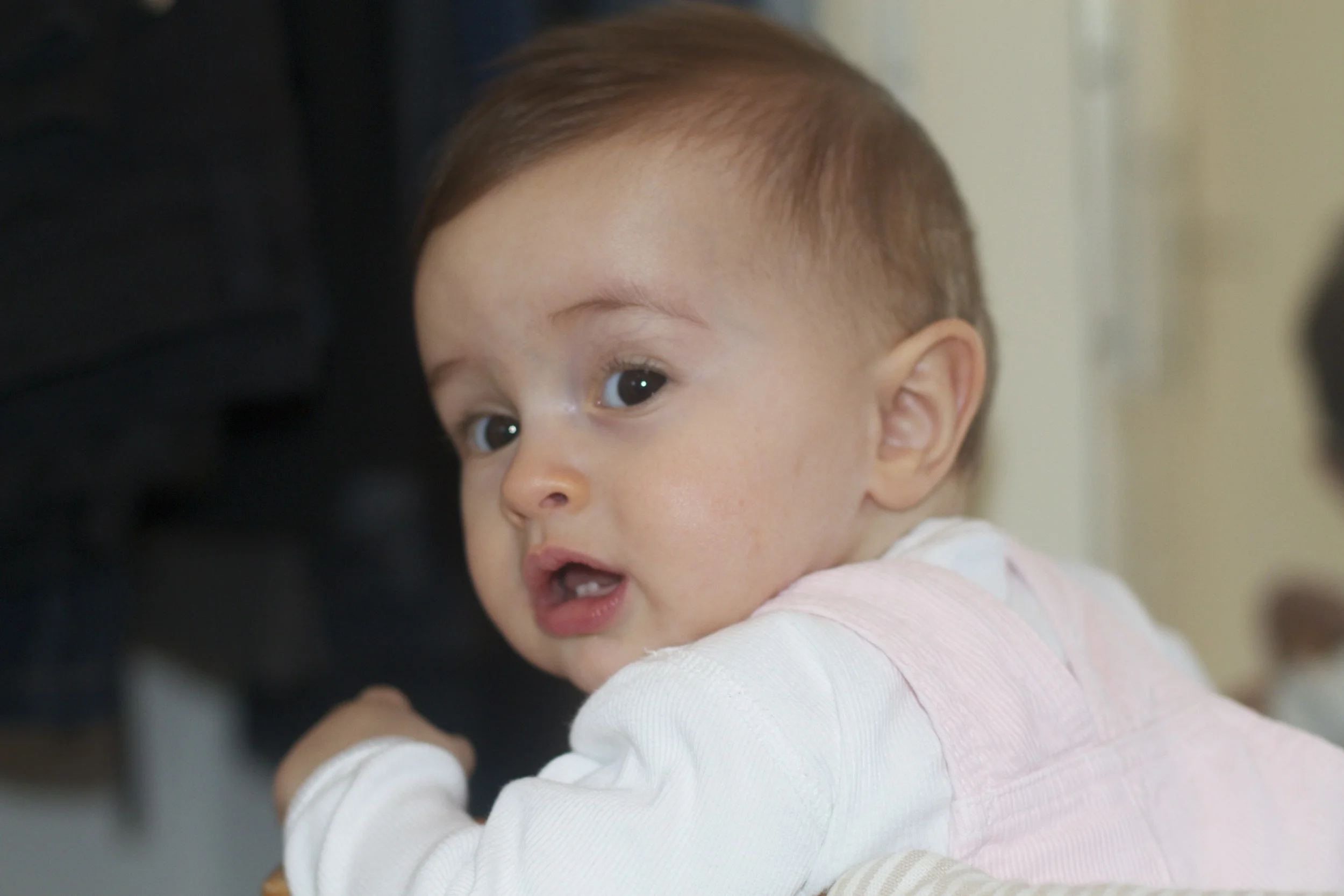 skd anna fav 2010_11_15 IMG_0447.CR2.jpg