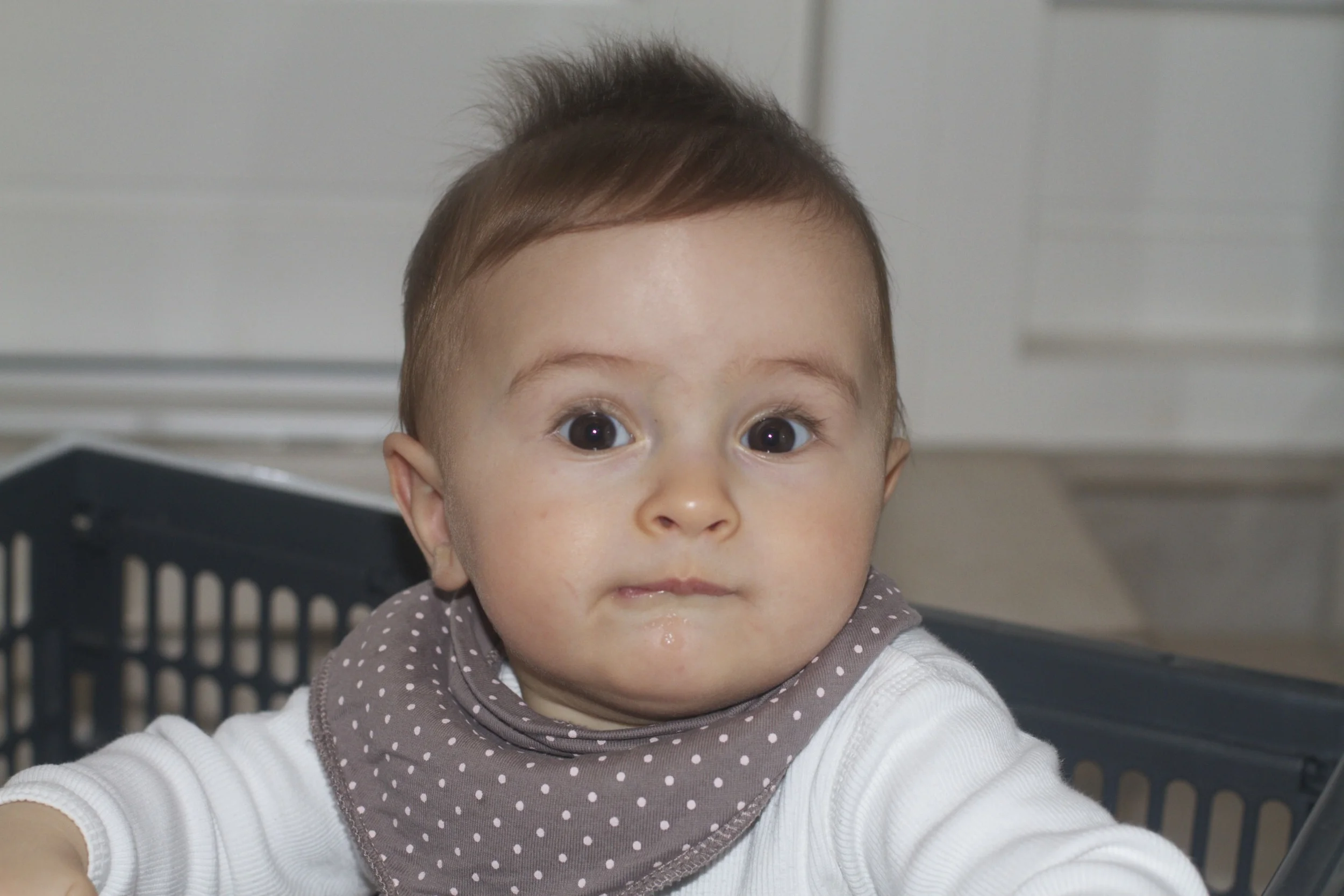 skd anna fav 2010_11_17 IMG_0497.CR2.jpg