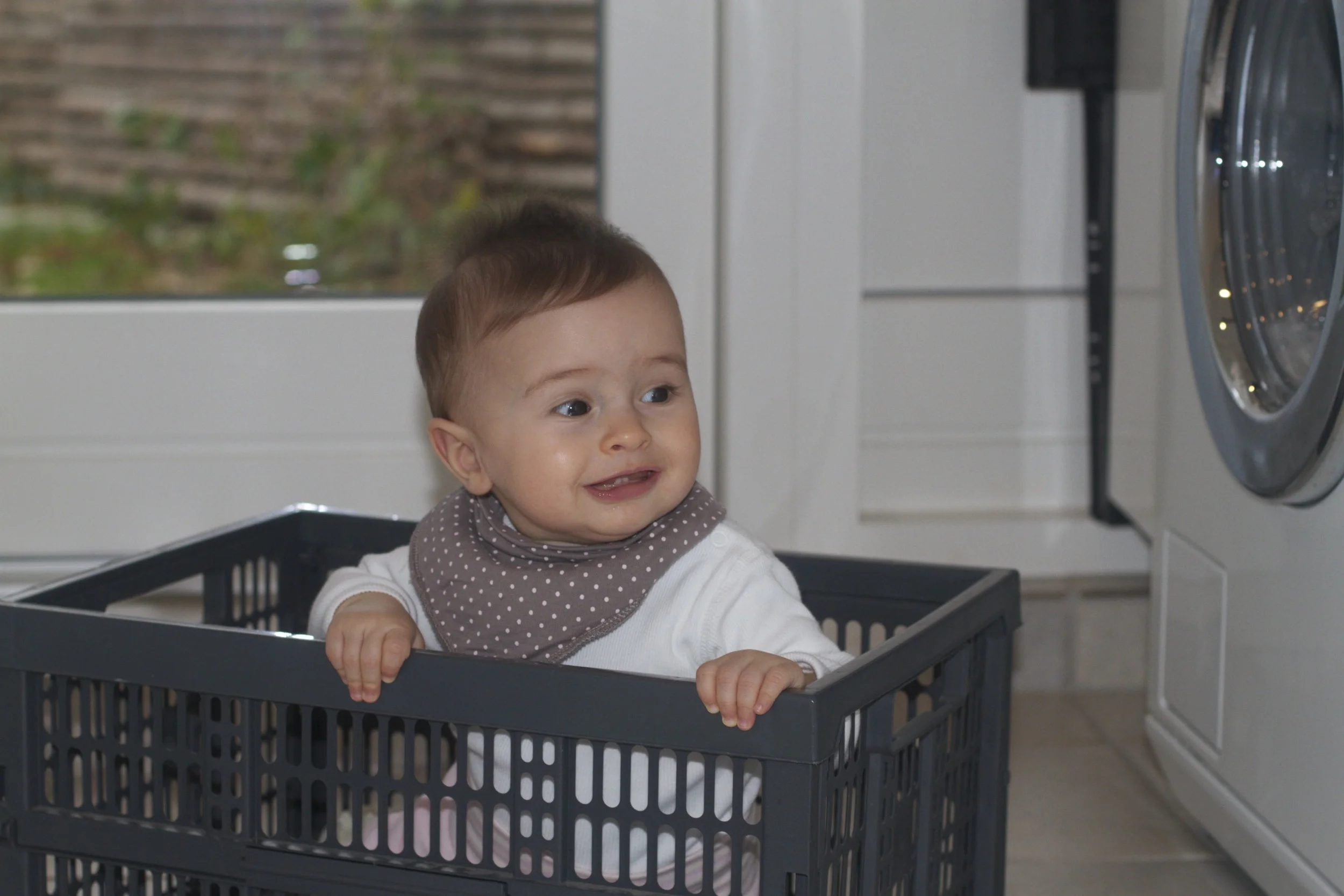 skd anna fav 2010_11_17 IMG_0498.CR2.jpg