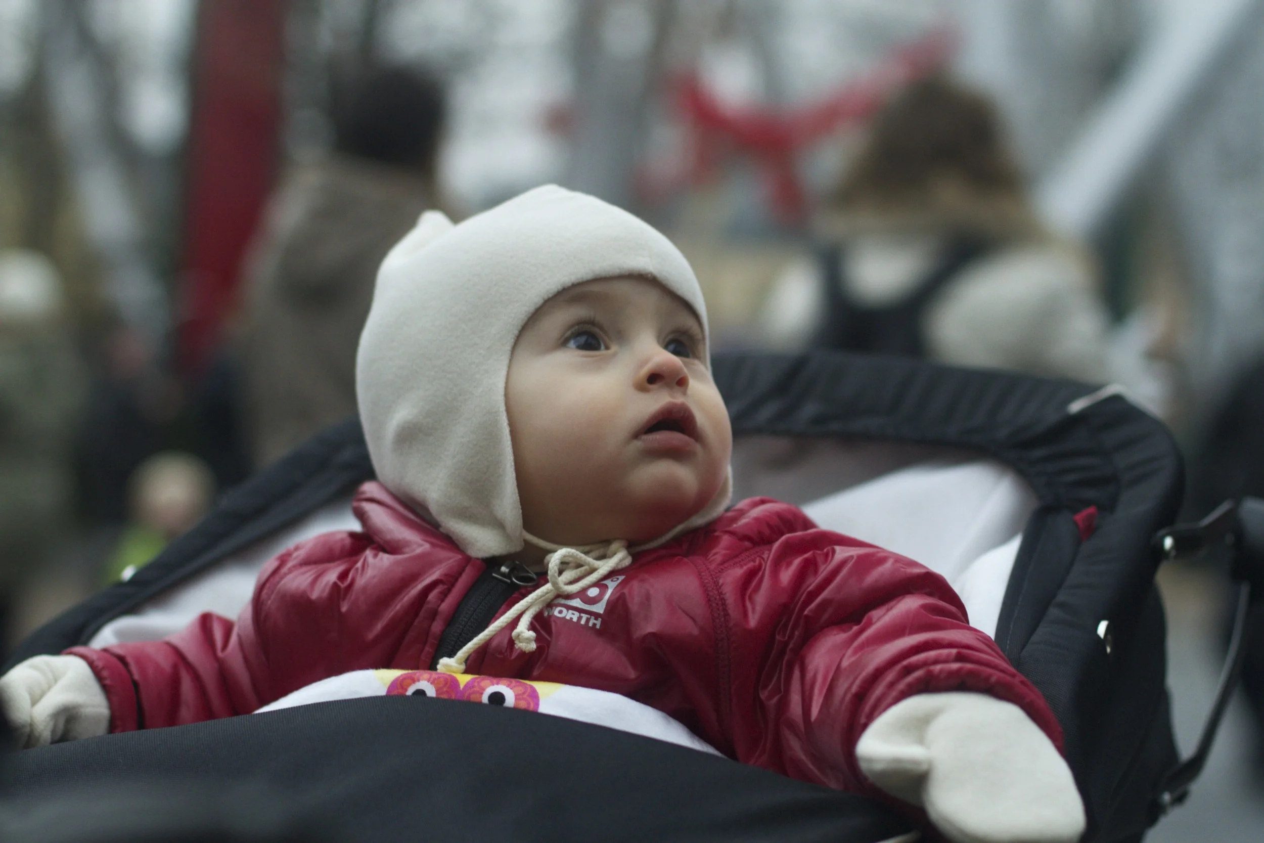 skd anna fav 2010_11_20 IMG_0545.CR2.jpg