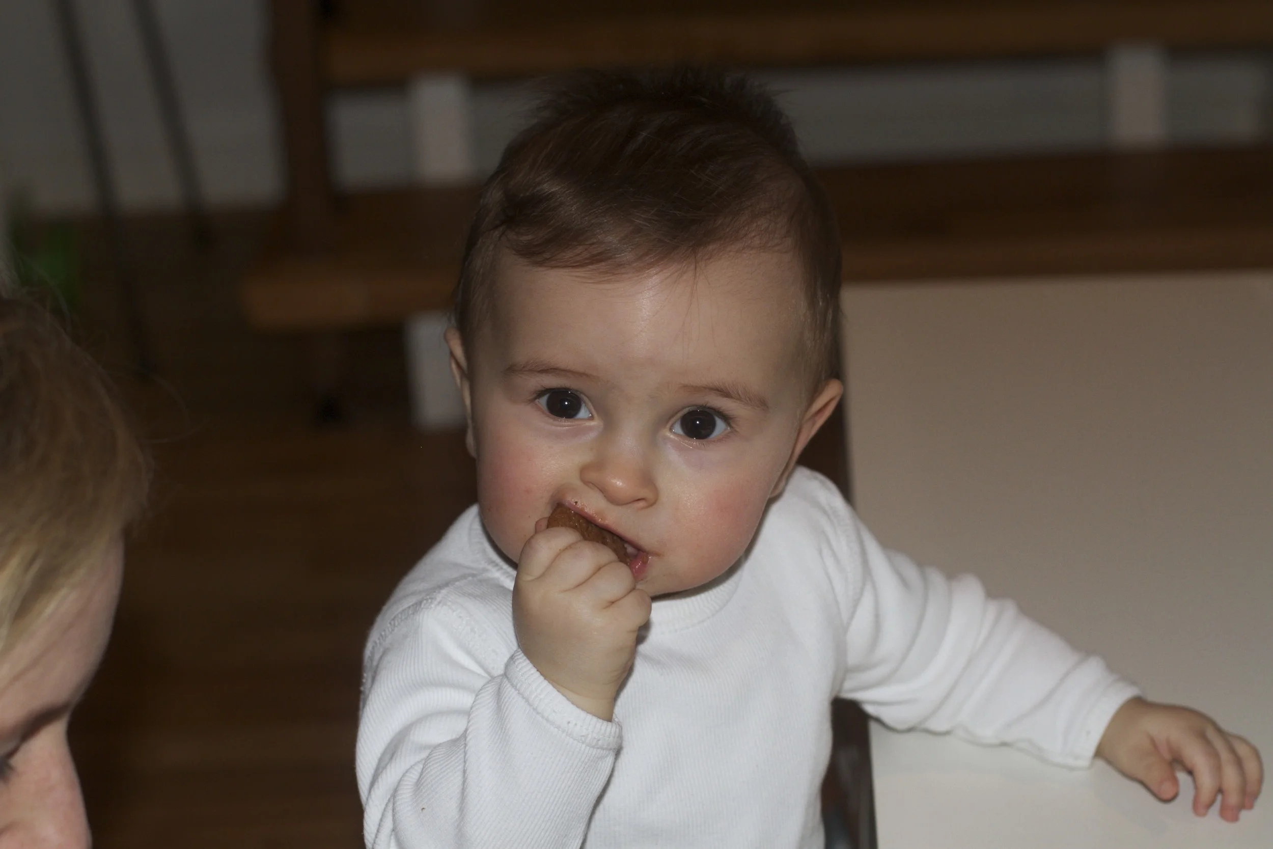 skd anna fav 2010_12_11 IMG_1028.CR2.jpg