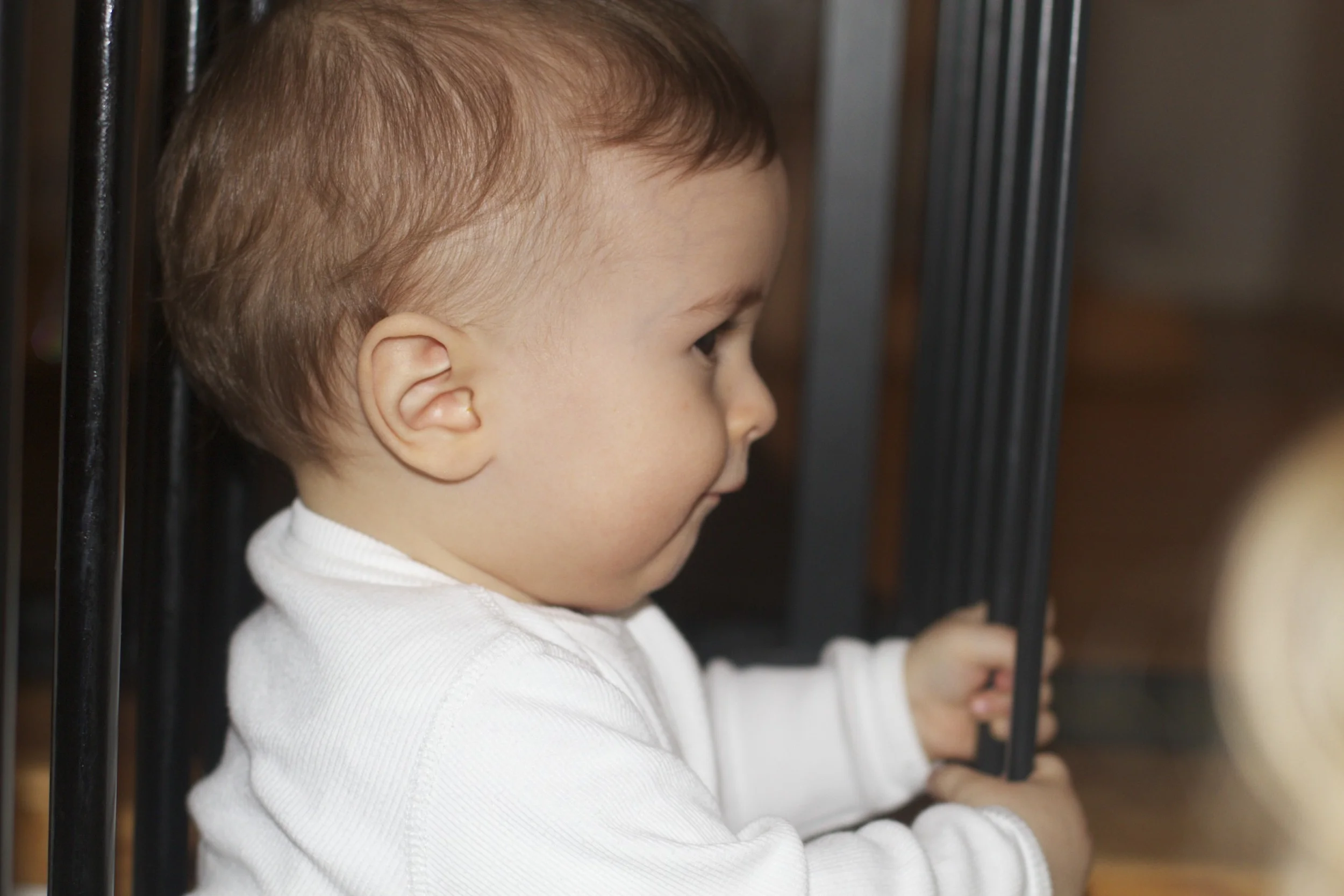 skd anna fav 2010_12_14 IMG_1075.CR2.jpg