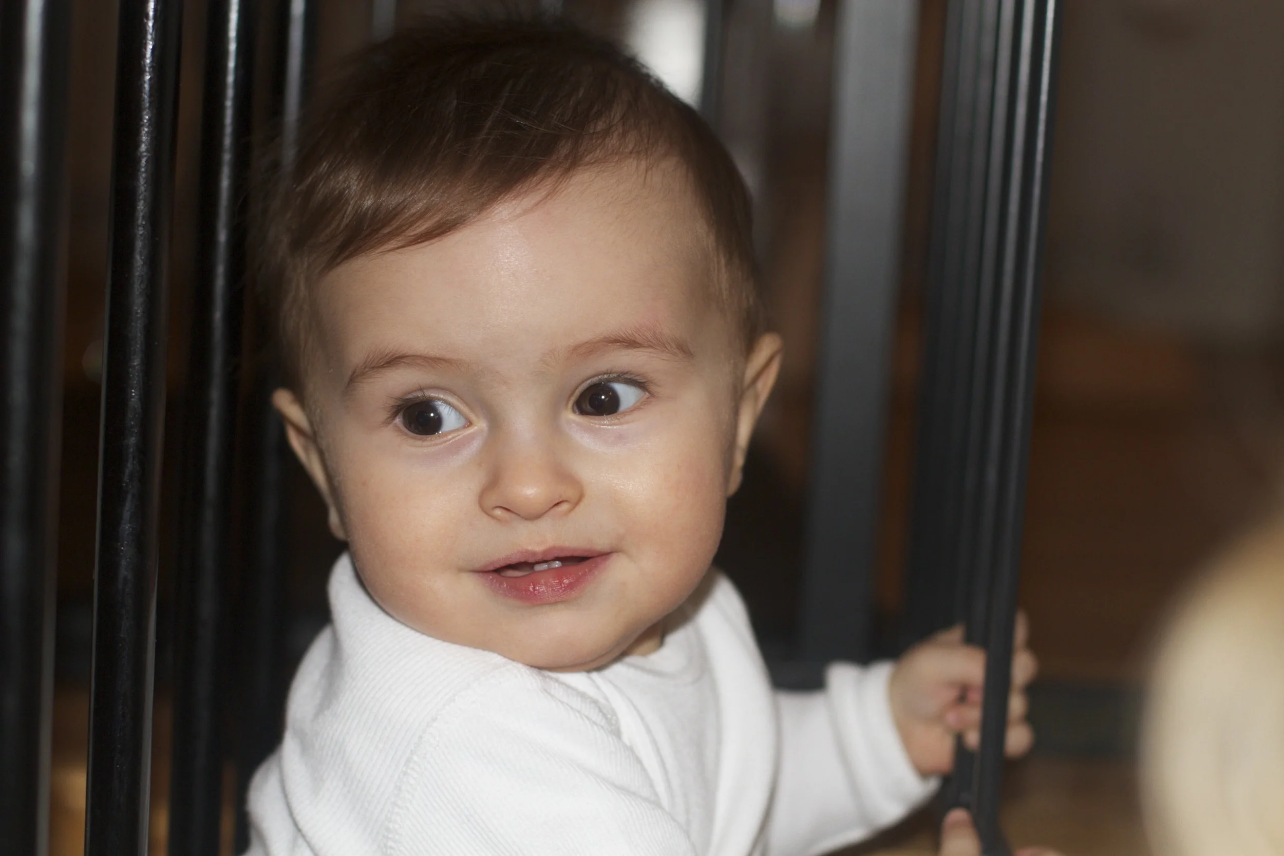 skd anna fav 2010_12_14 IMG_1076.CR2.jpg