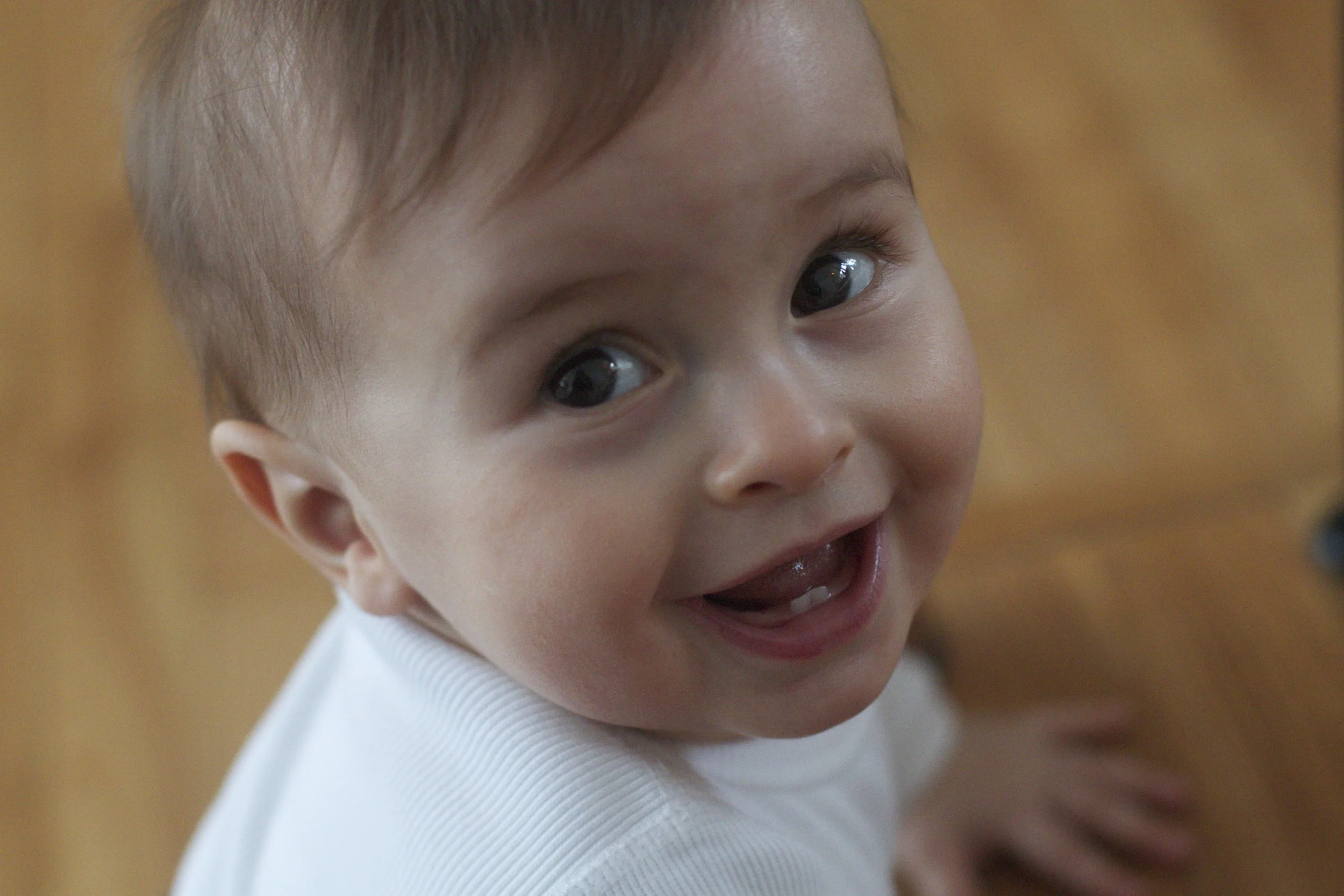 skd anna fav 2010_12_20 IMG_1180.CR2.jpg