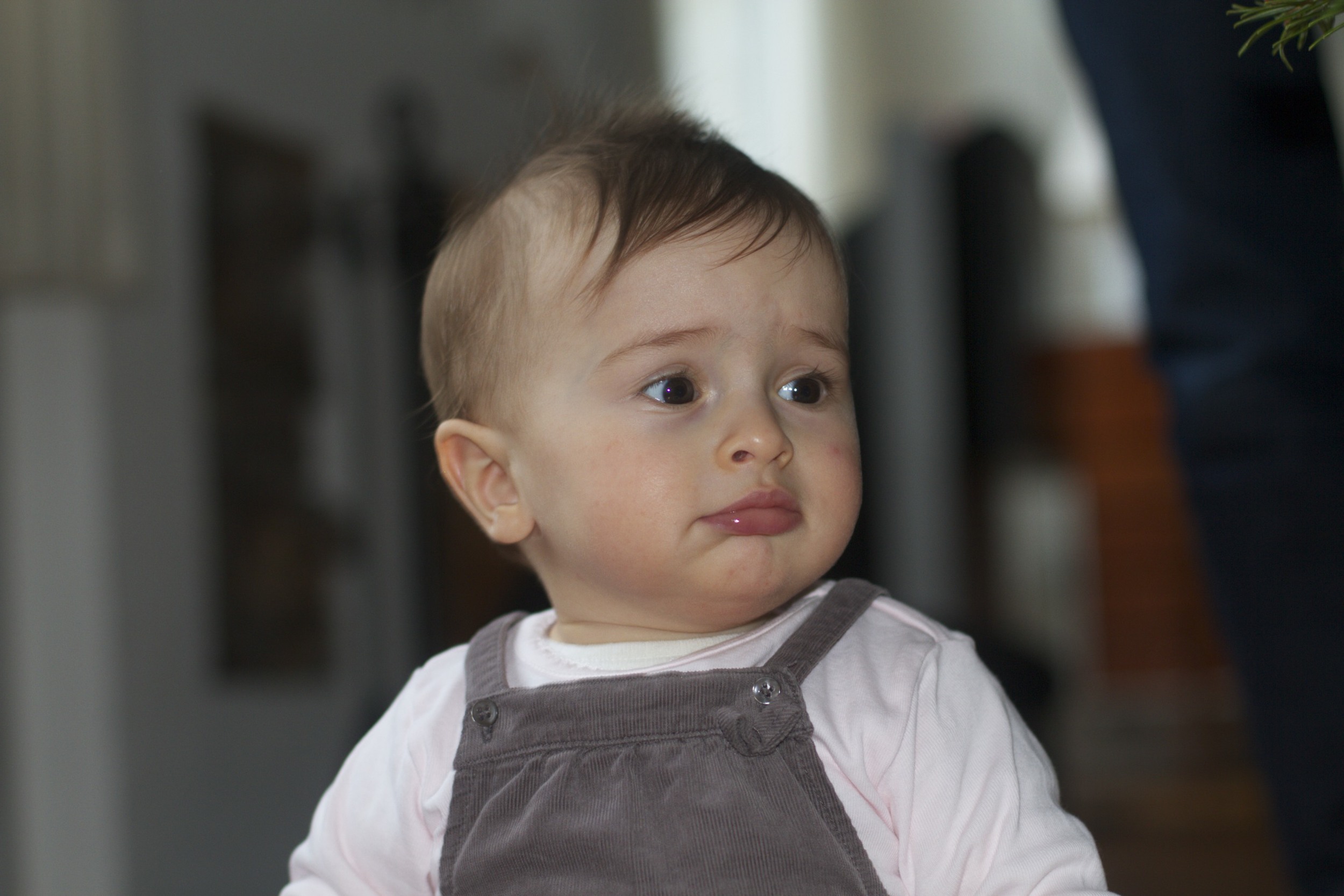 skd anna fav 2010_12_25 IMG_1817.CR2.jpg