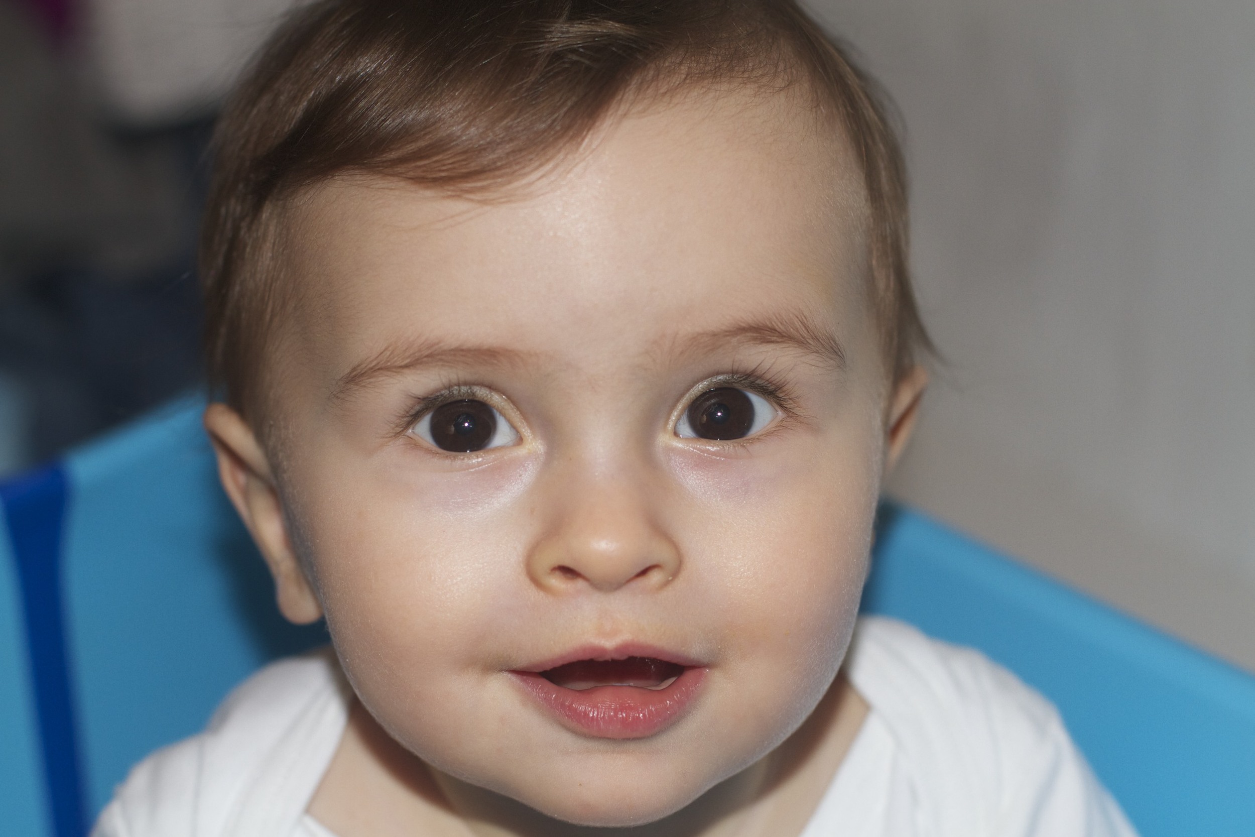 skd anna fav 2011_02_02 IMG_2841.CR2.jpg