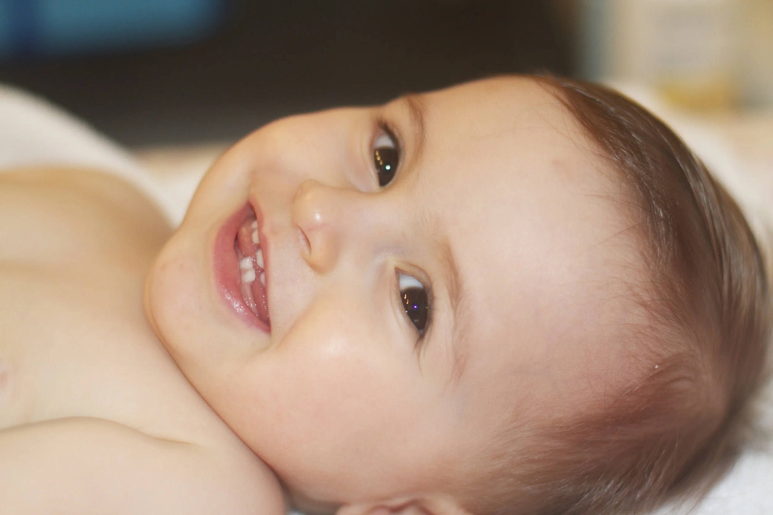 skd anna fav 2011_02_08 IMG_2891.CR2.jpg