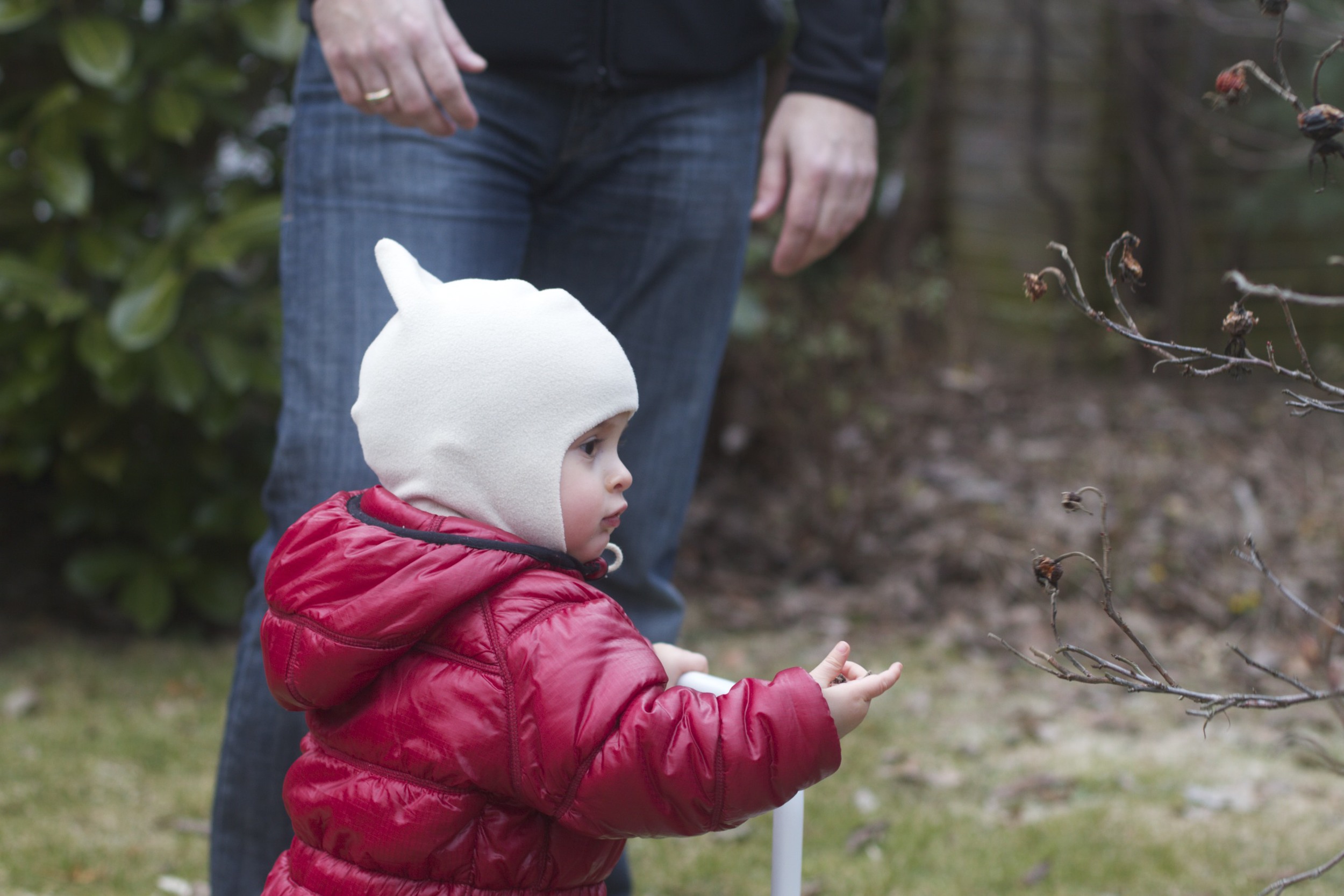 skd anna fav 2011_03_21 IMG_4961.CR2.jpg