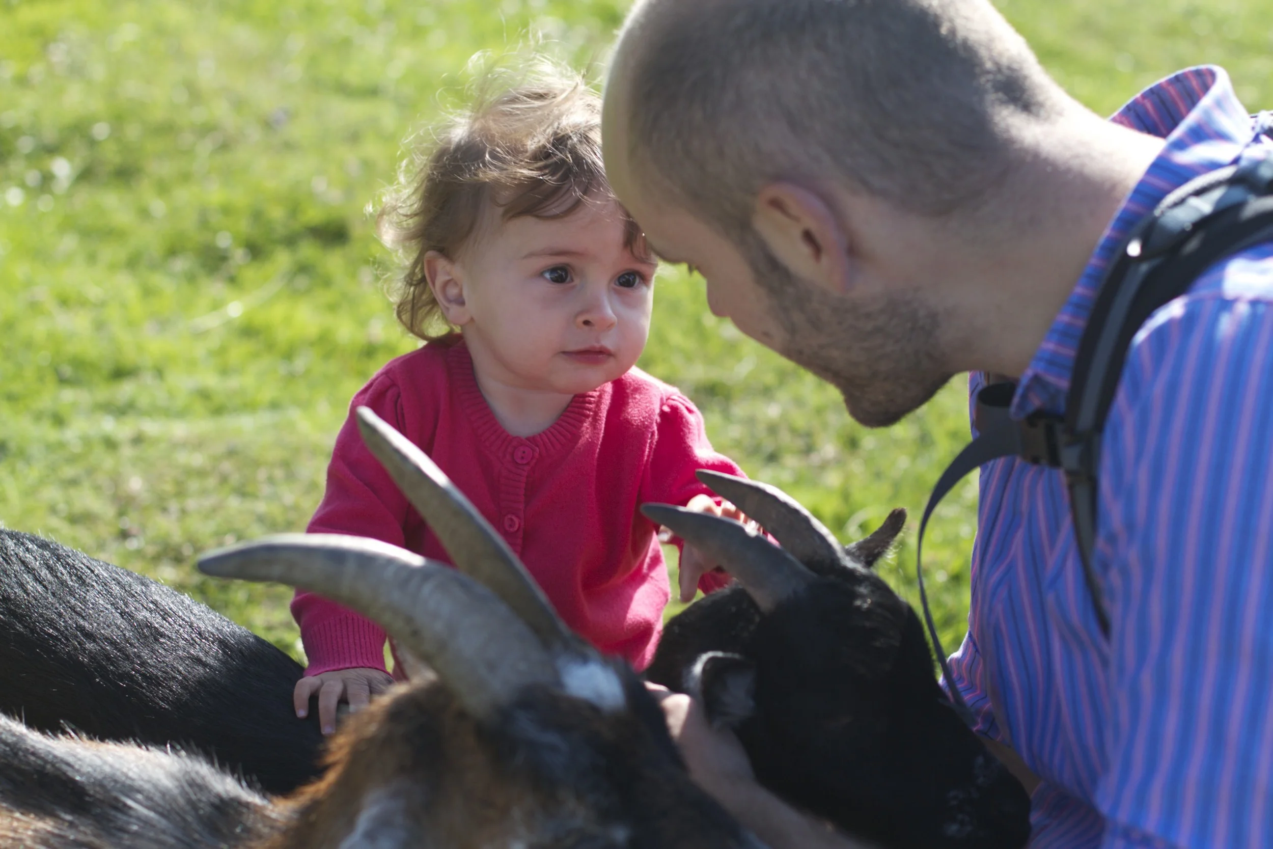 skd anna fav 2011_07_12 IMG_9499.CR2.jpg