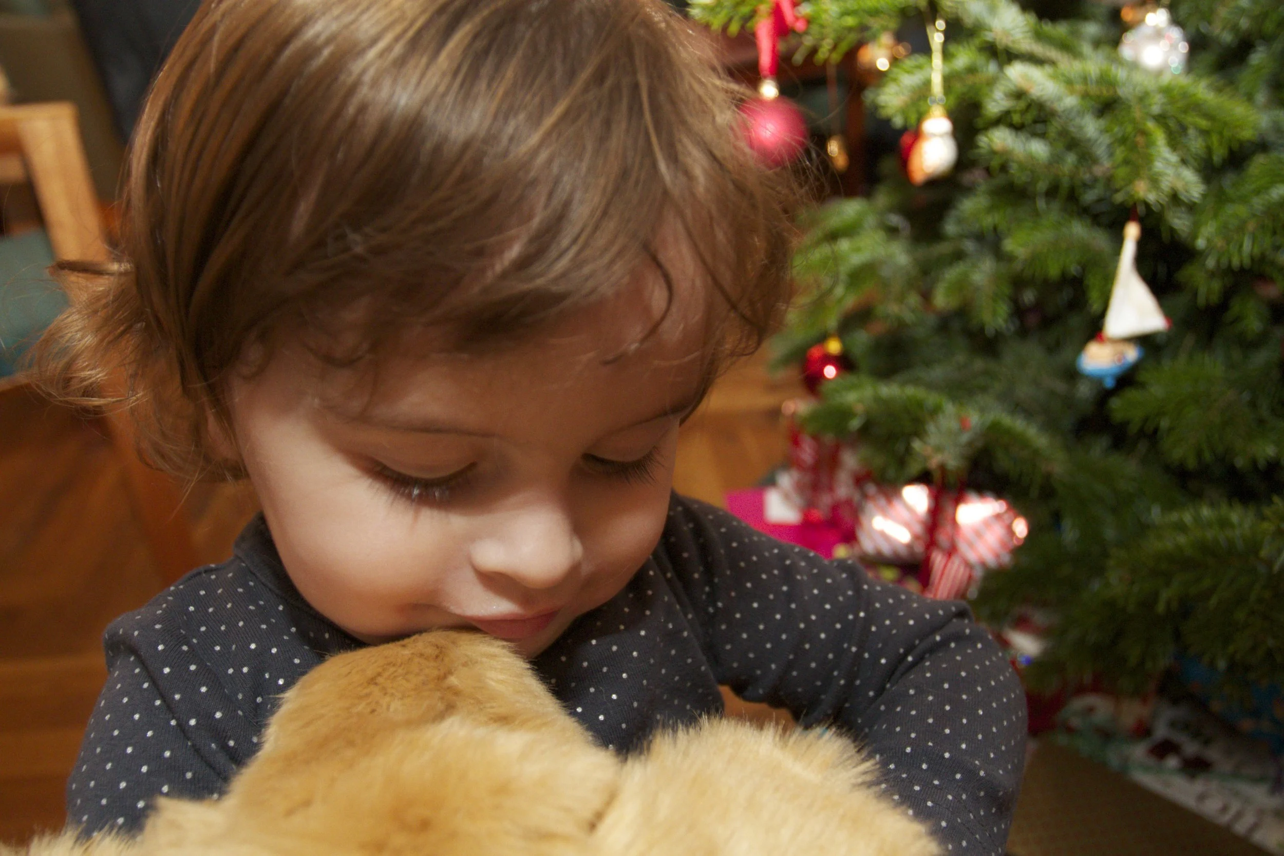 skd anna fav 2011_12_24 IMG_5615.CR2.jpg