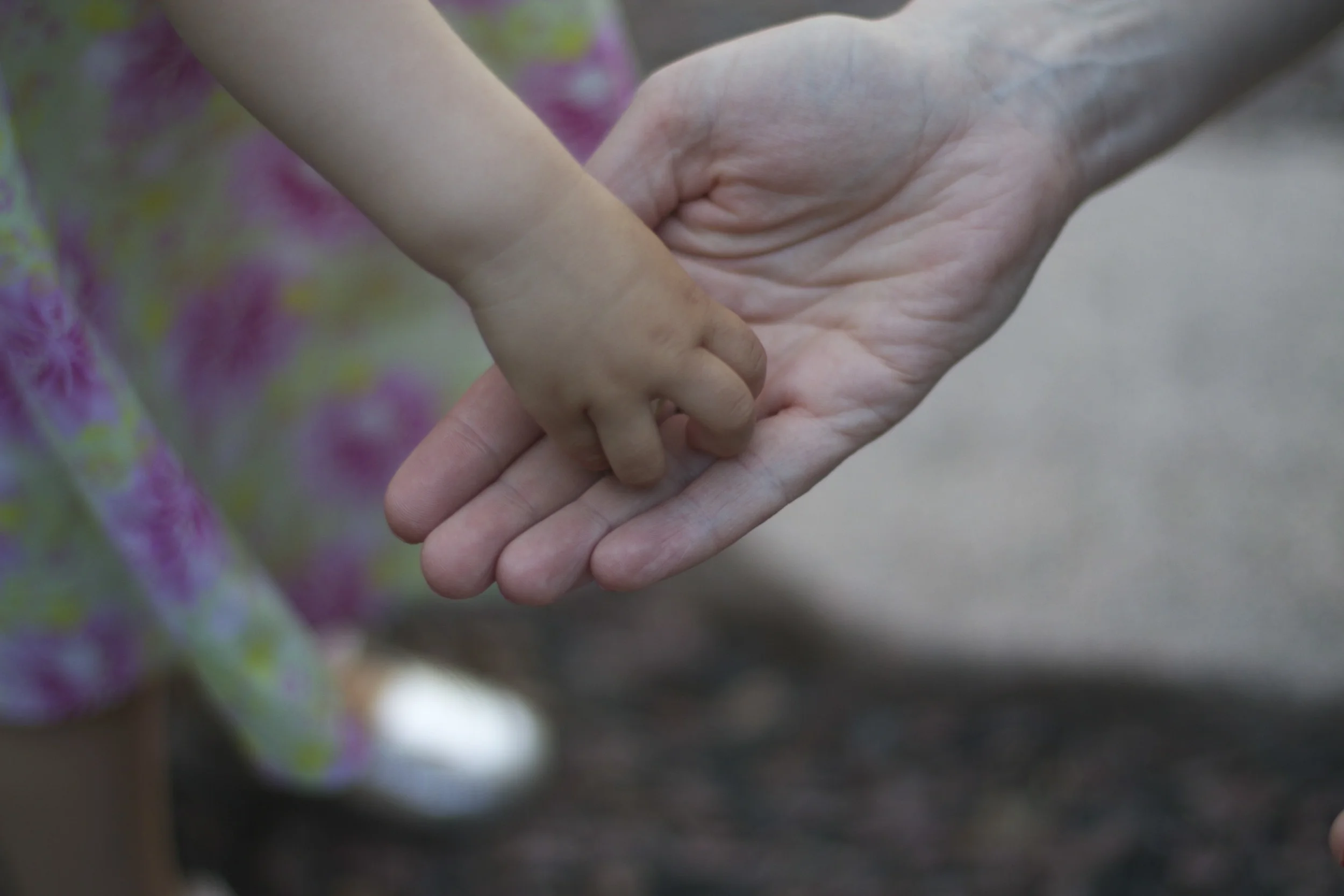 skd pic 2011_07_19 IMG_0281.CR2.jpg