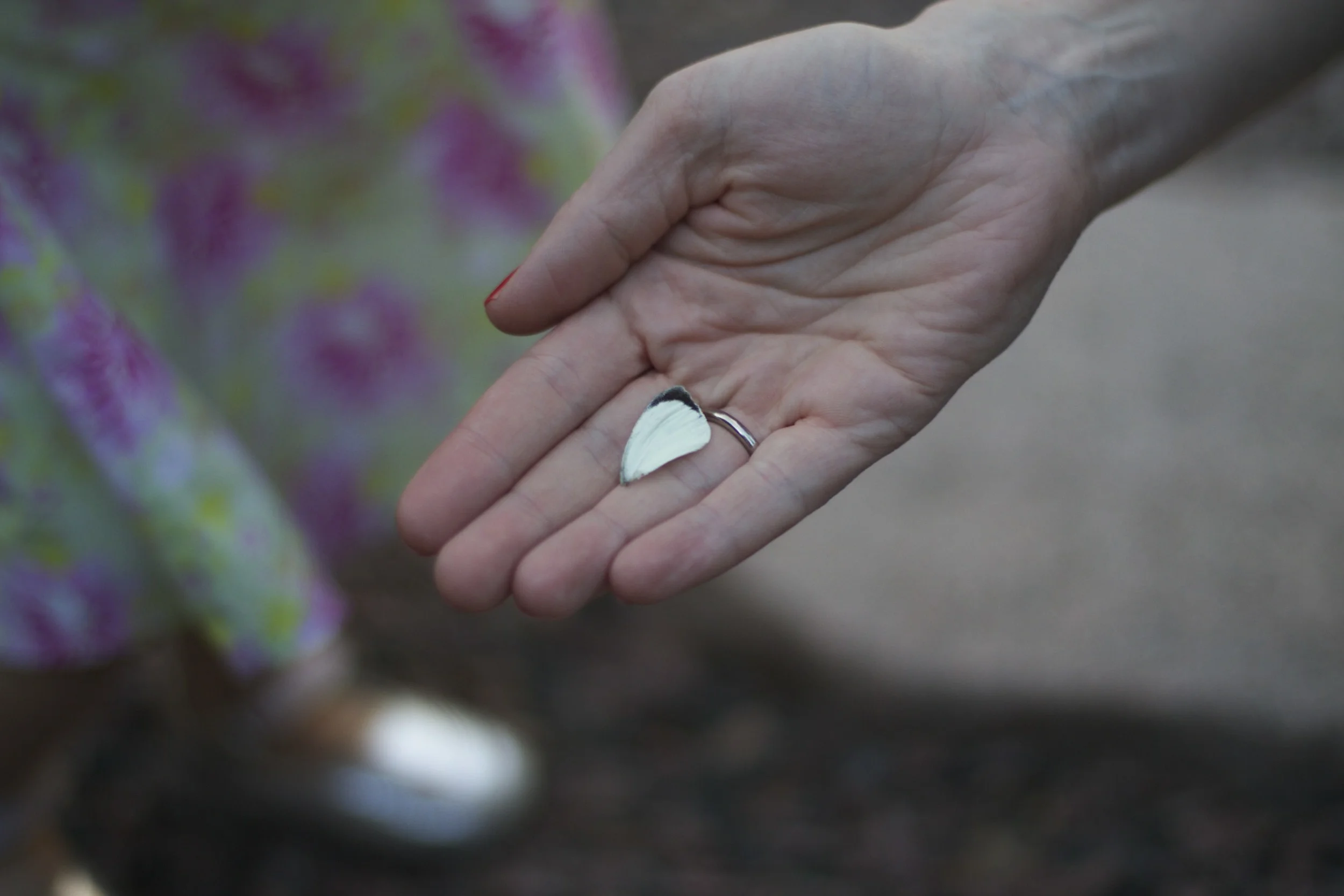 skd pic 2011_07_19 IMG_0280.CR2.jpg