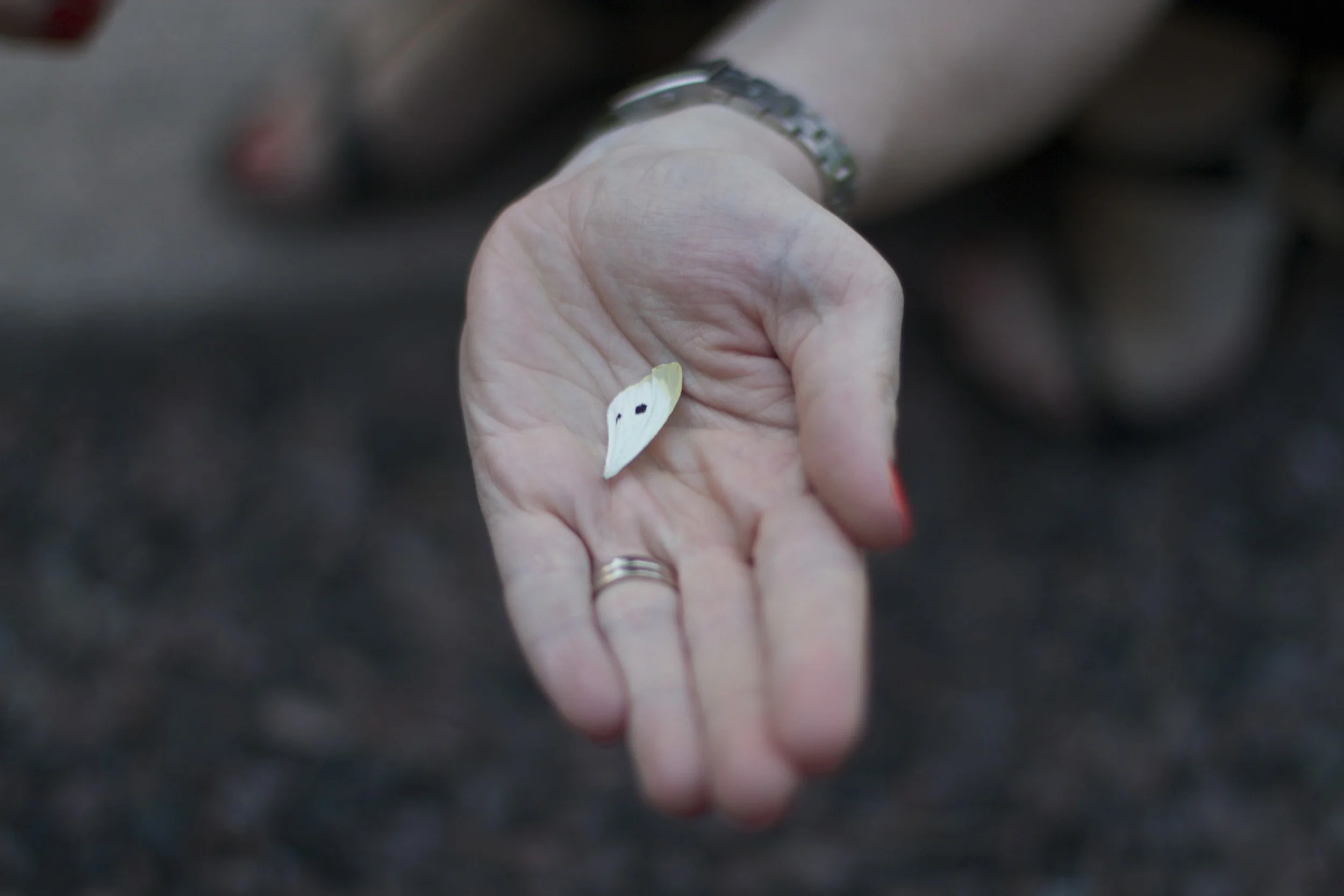 skd pic 2011_07_19 IMG_0275.CR2.jpg