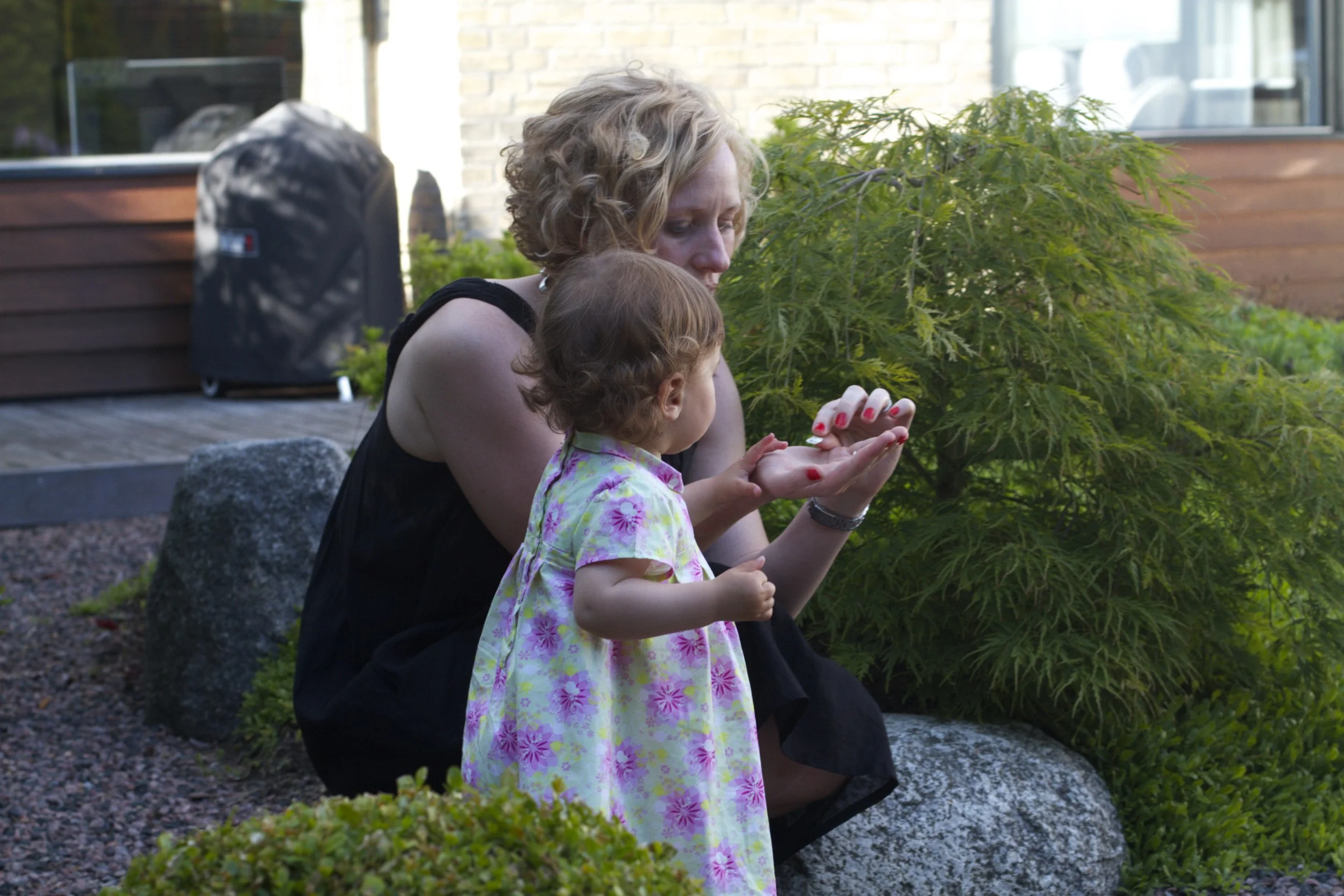 skd pic 2011_07_19 IMG_0273.CR2.jpg