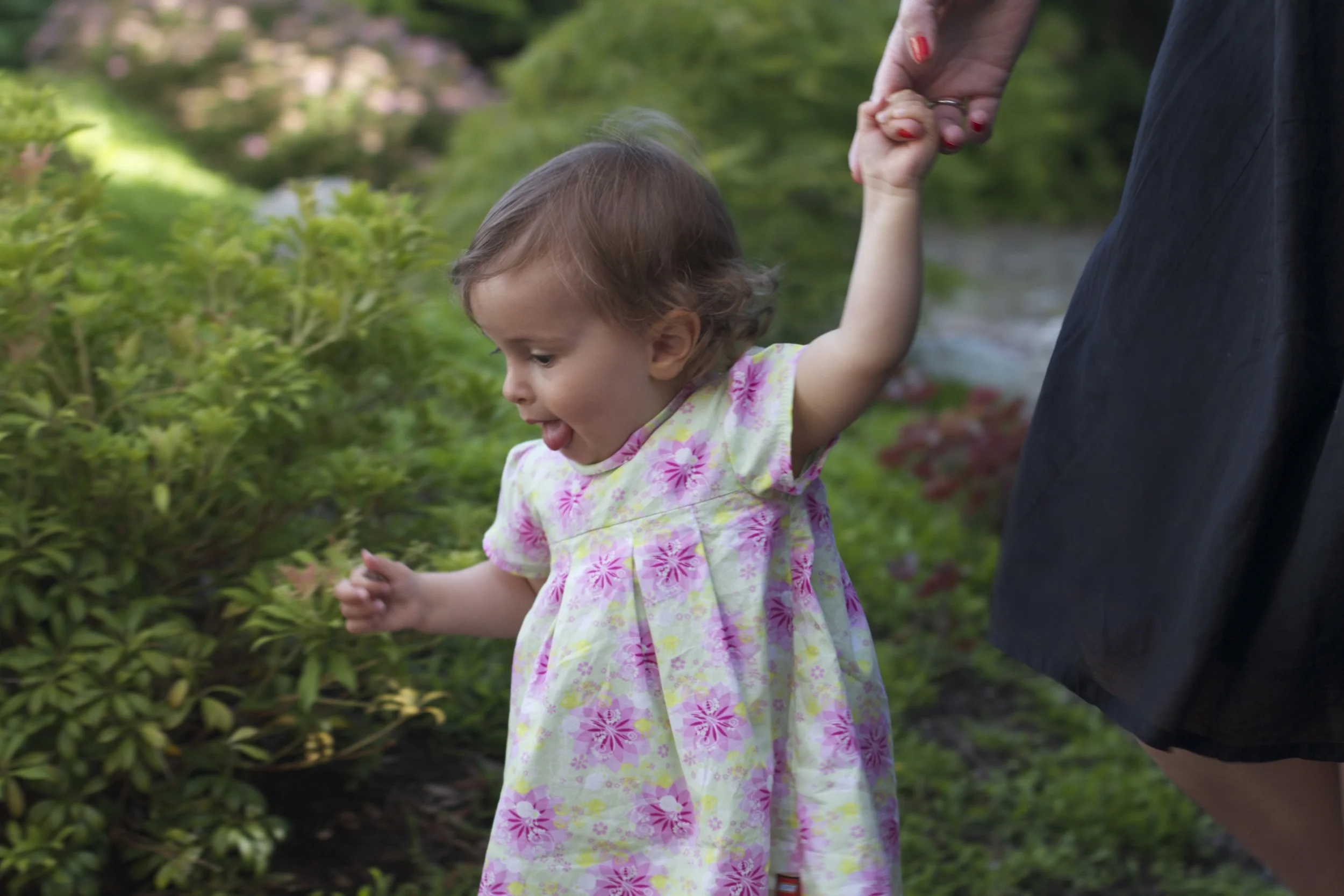 skd pic 2011_07_19 IMG_0270.CR2.jpg