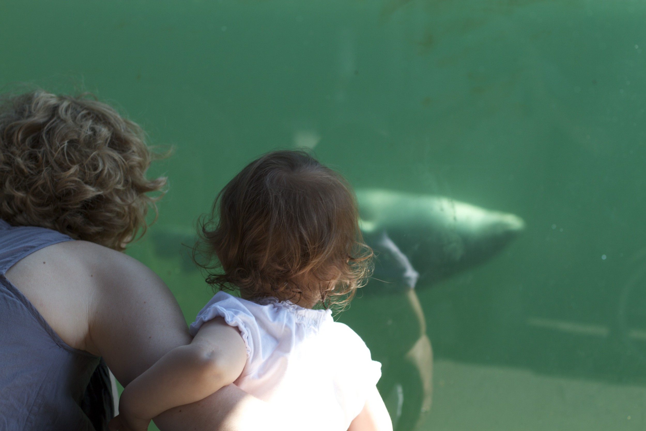 skd pic 2011_07_19 IMG_0016.CR2.jpg