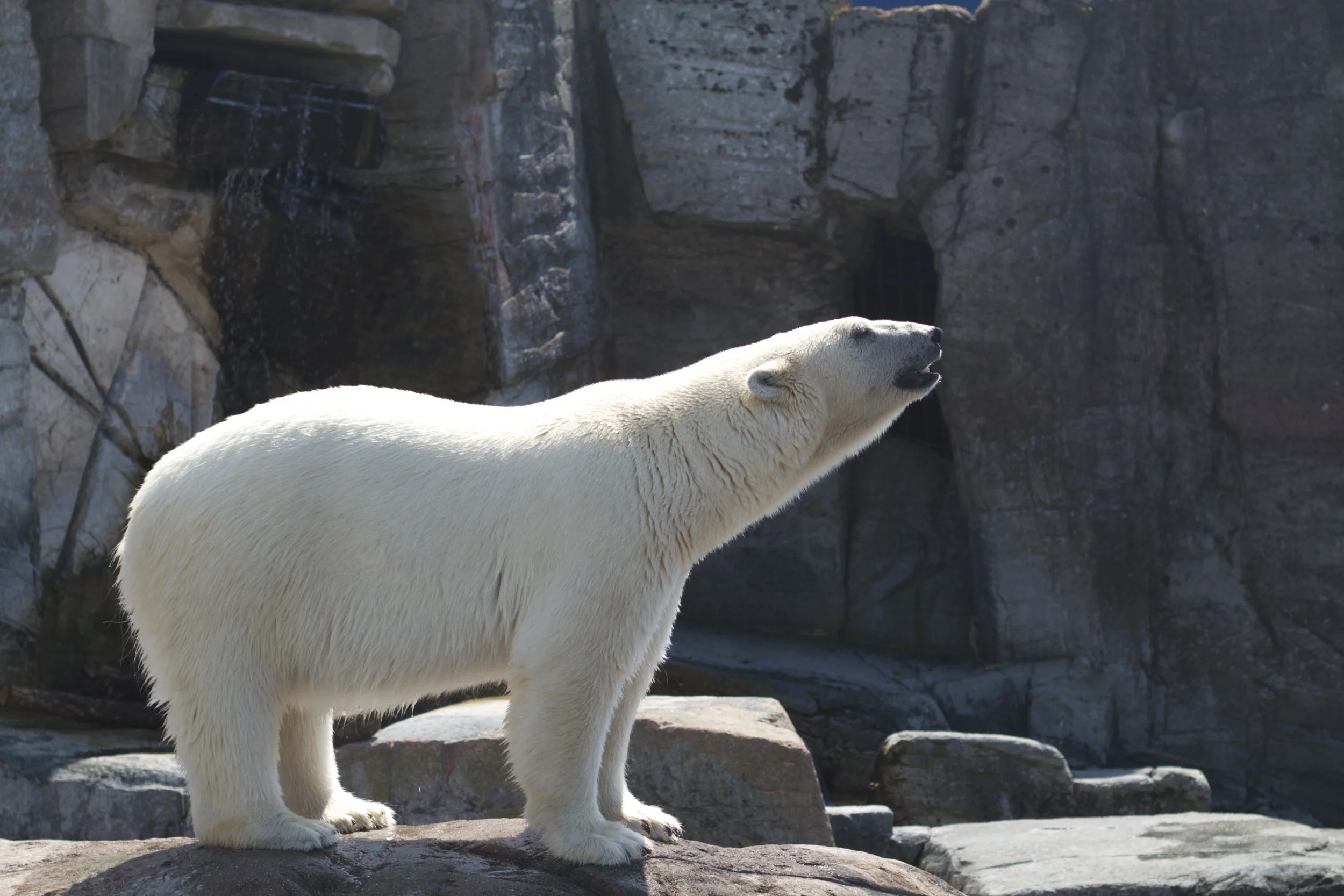 skd pic 2011_07_19 IMG_0034.CR2.jpg