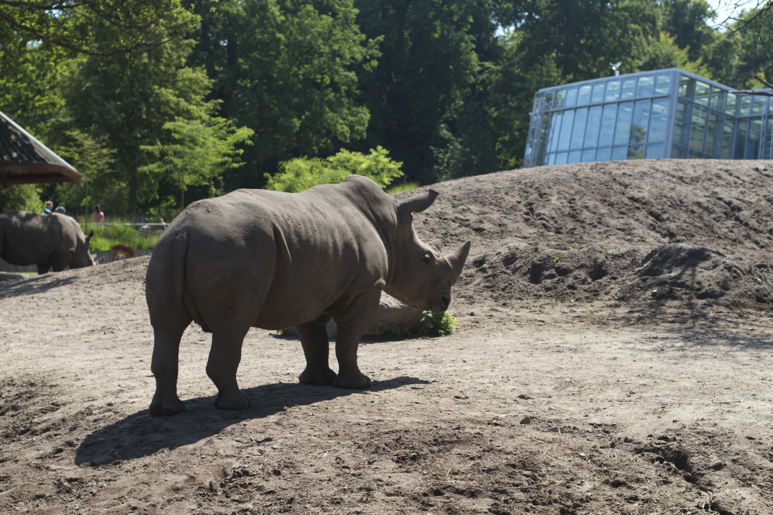 skd pic 2011_07_19 IMG_0118.CR2.jpg