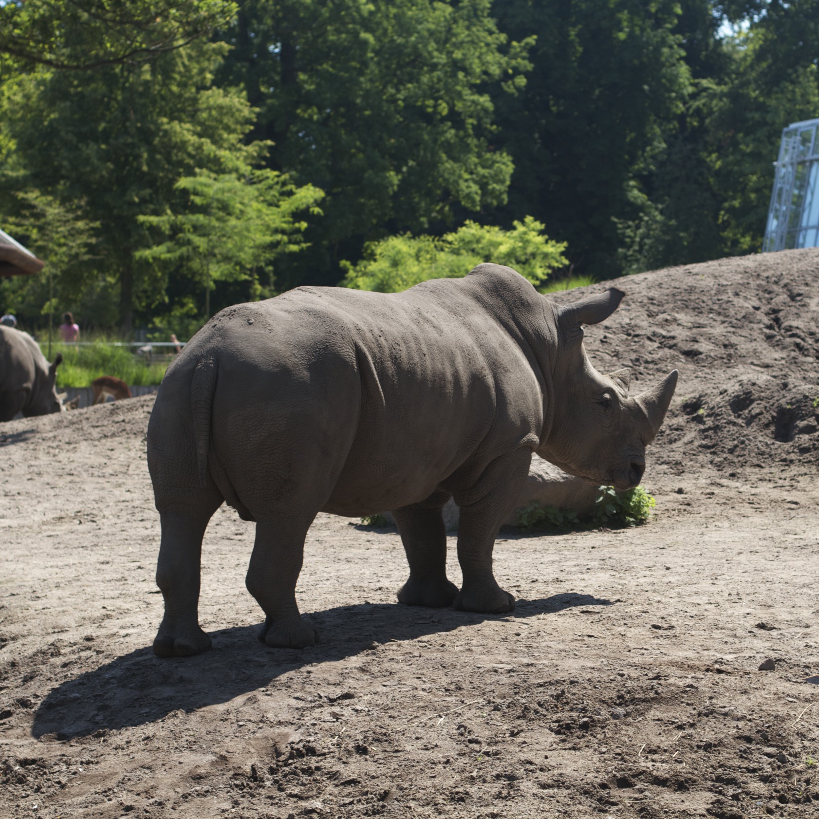 skd pic 2011_07_19 IMG_0118.CR2.jpg