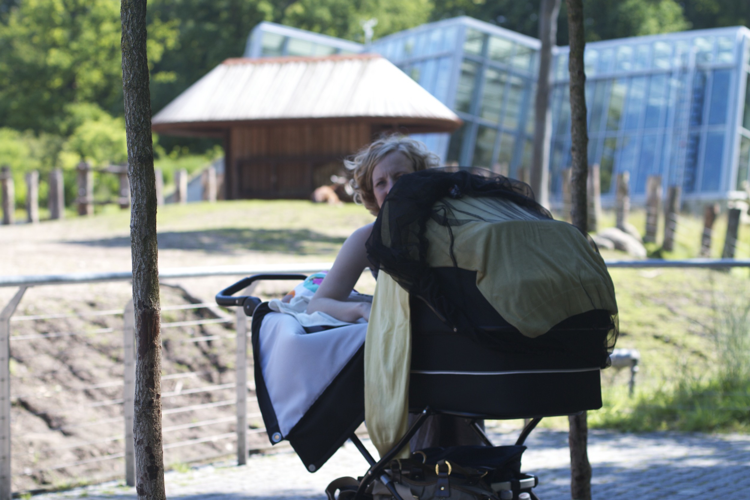 skd pic 2011_07_19 IMG_0130.CR2.jpg