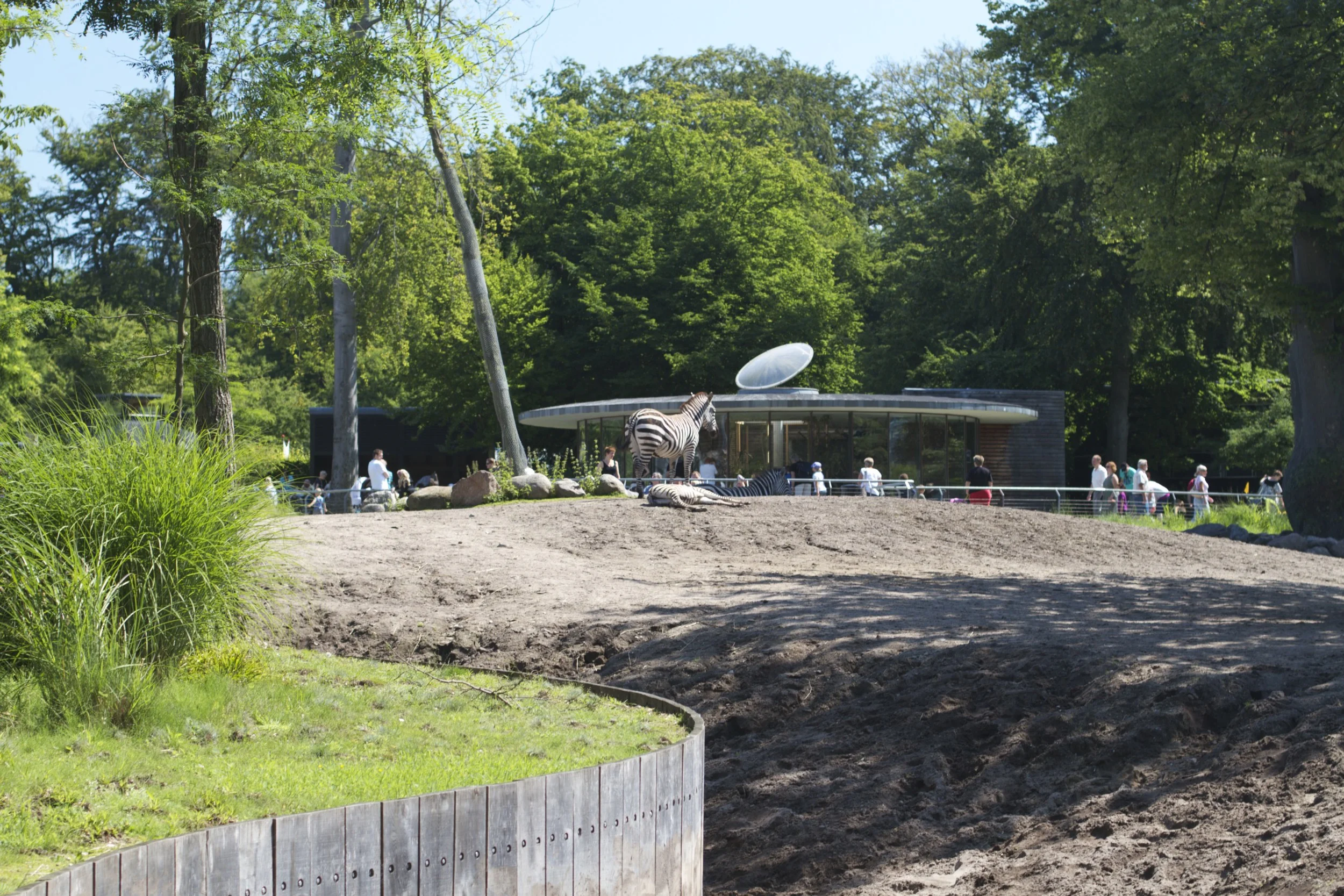 skd pic 2011_07_19 IMG_0125.CR2.jpg