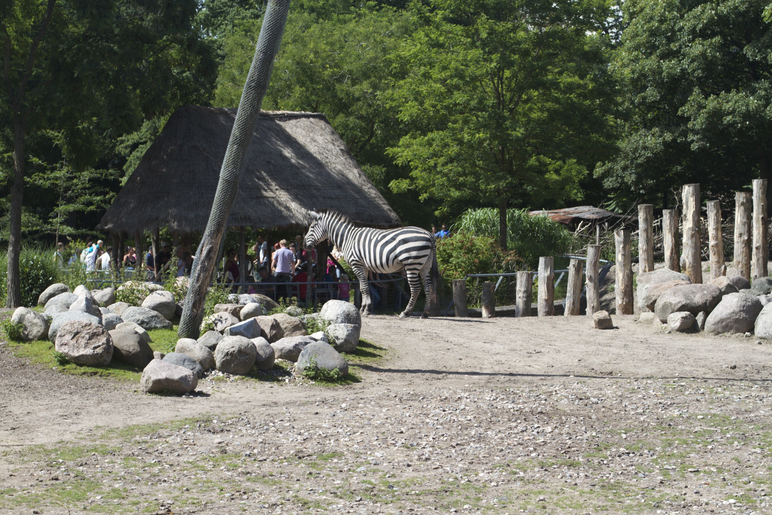 skd pic 2011_07_19 IMG_0154.CR2.jpg