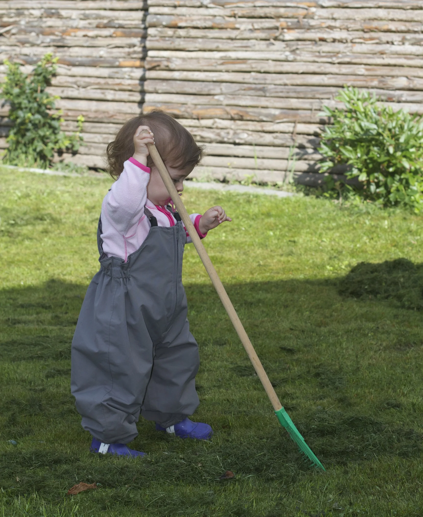 skd pic 2011_07_19 IMG_9891.CR2.jpg